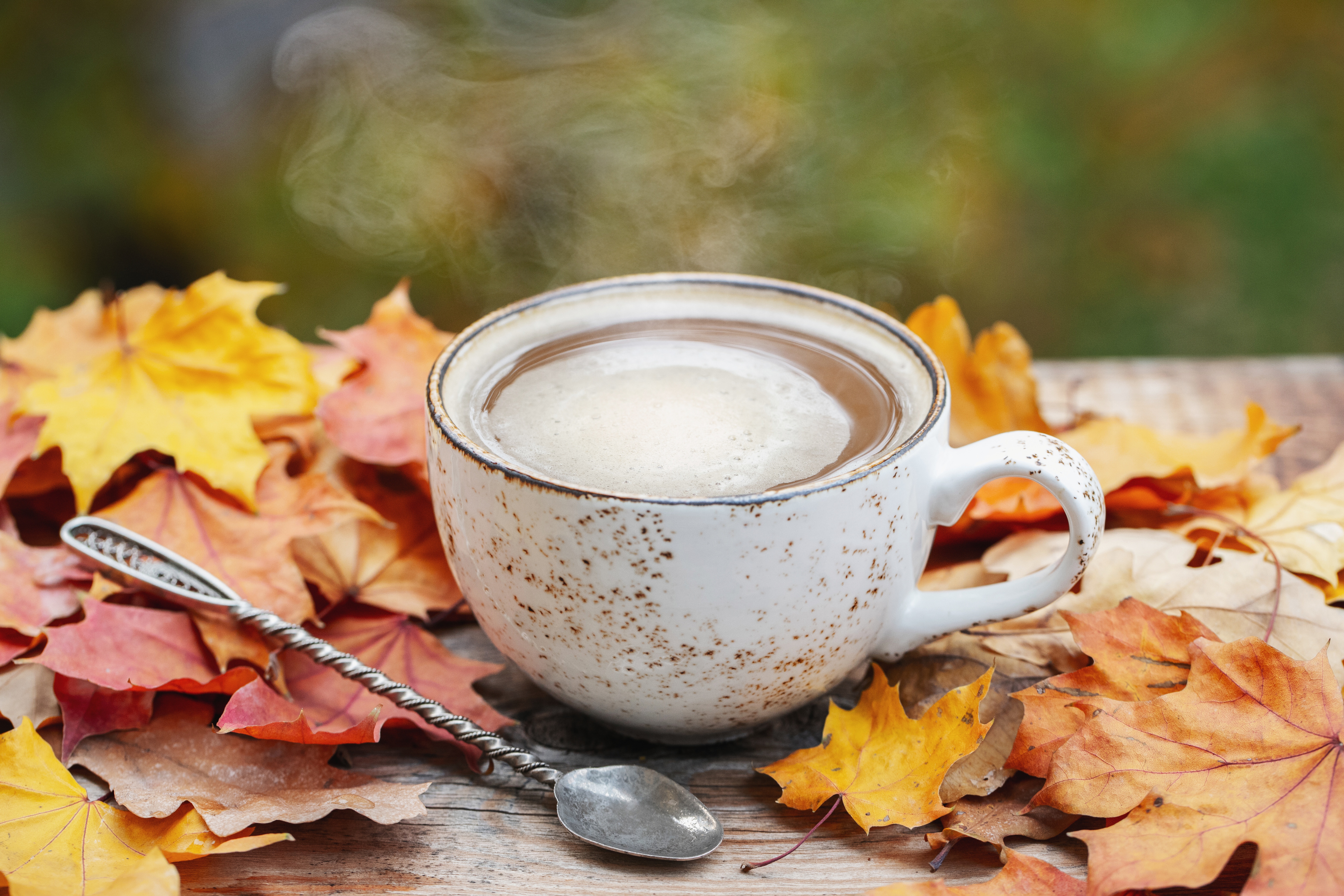 Cup of Coffee with Autumn Leaves HD Wallpaper