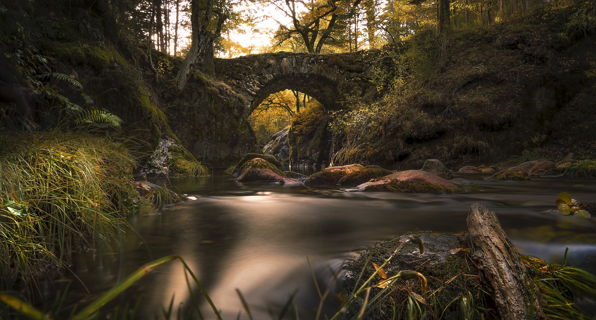 Stone bridge over a river in a forest HD Wallpaper