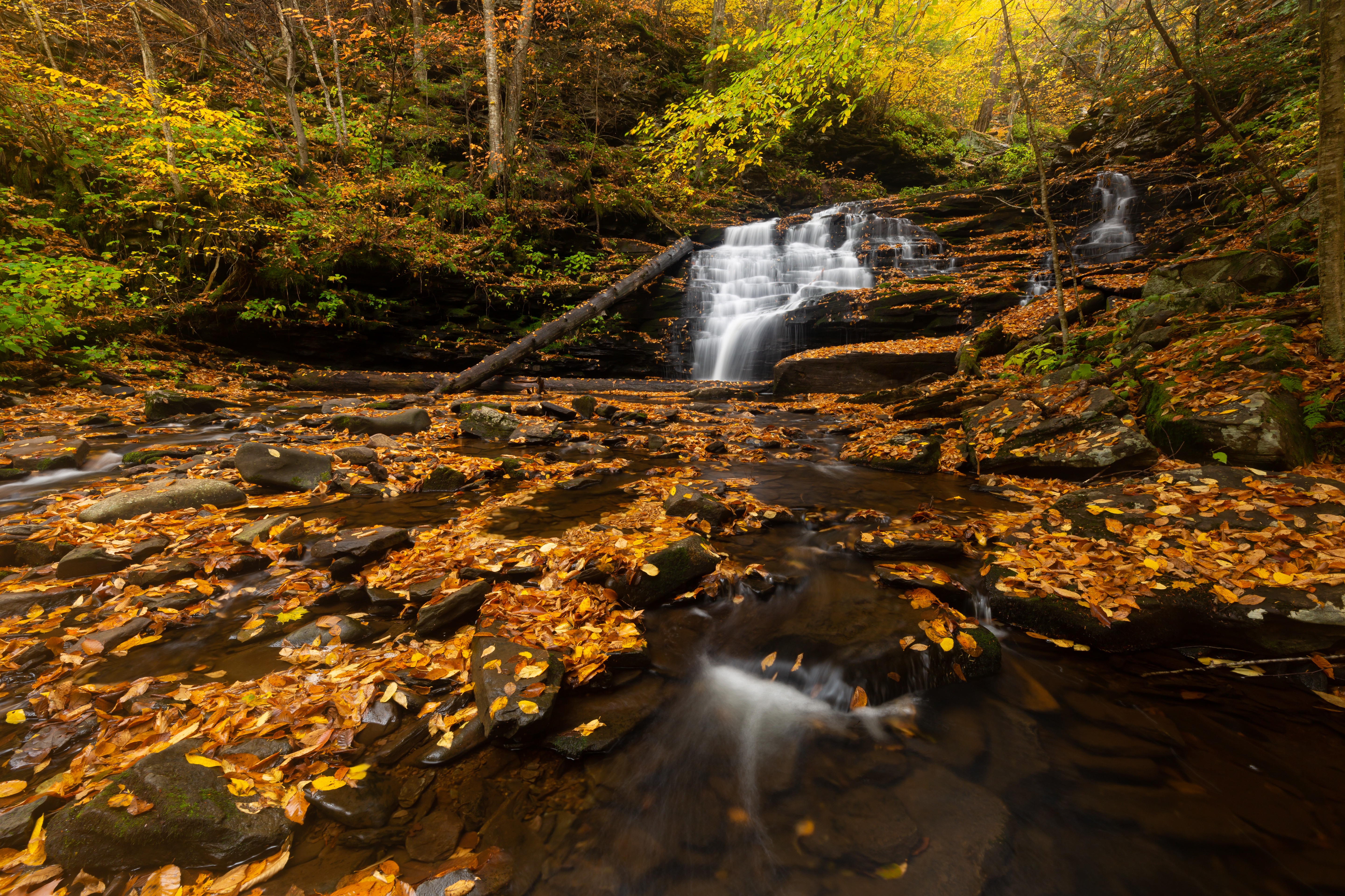 Waterfall with Fall Foliage and Stones HD Wallpaper