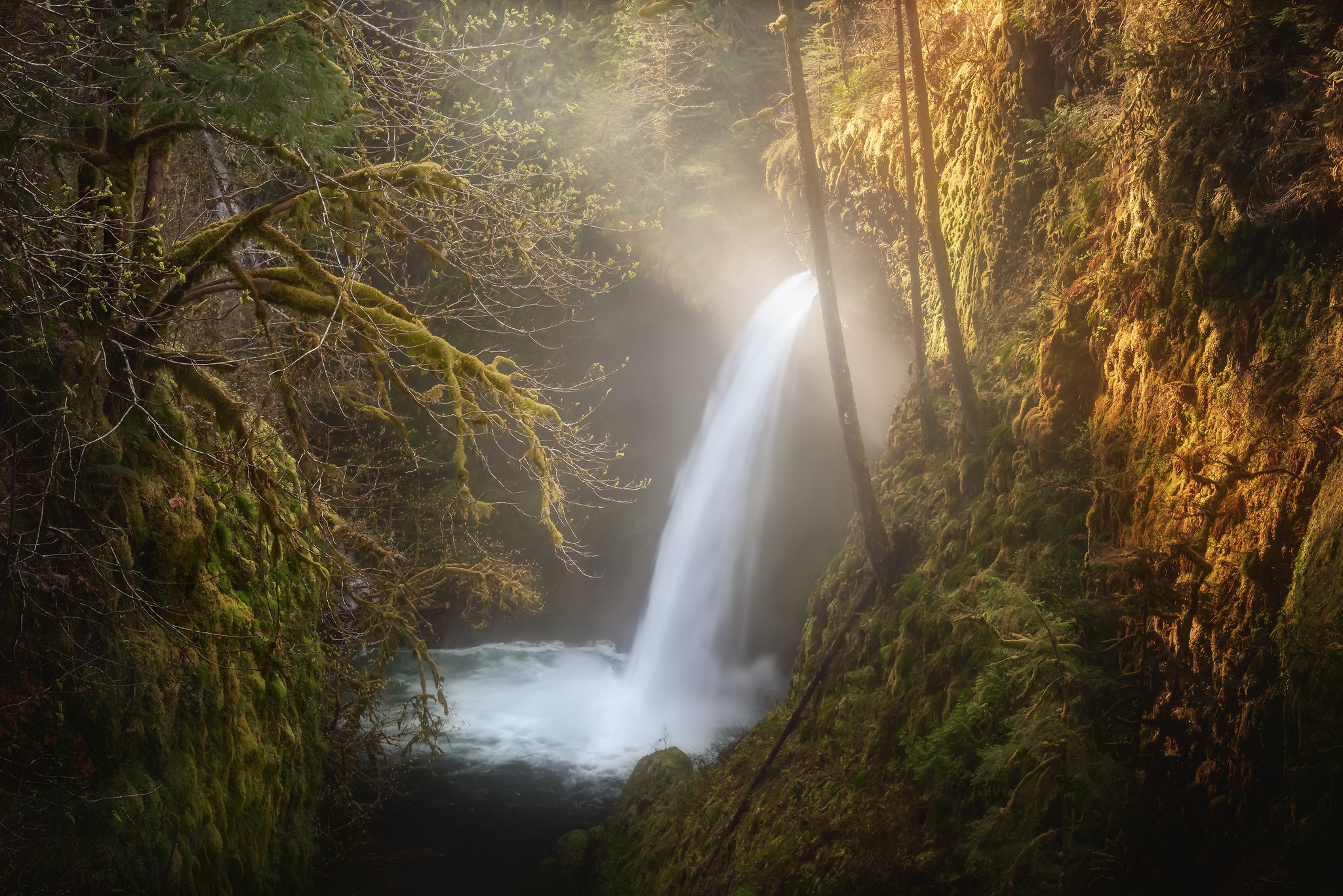 Waterfall in a mossy forest HD Wallpaper