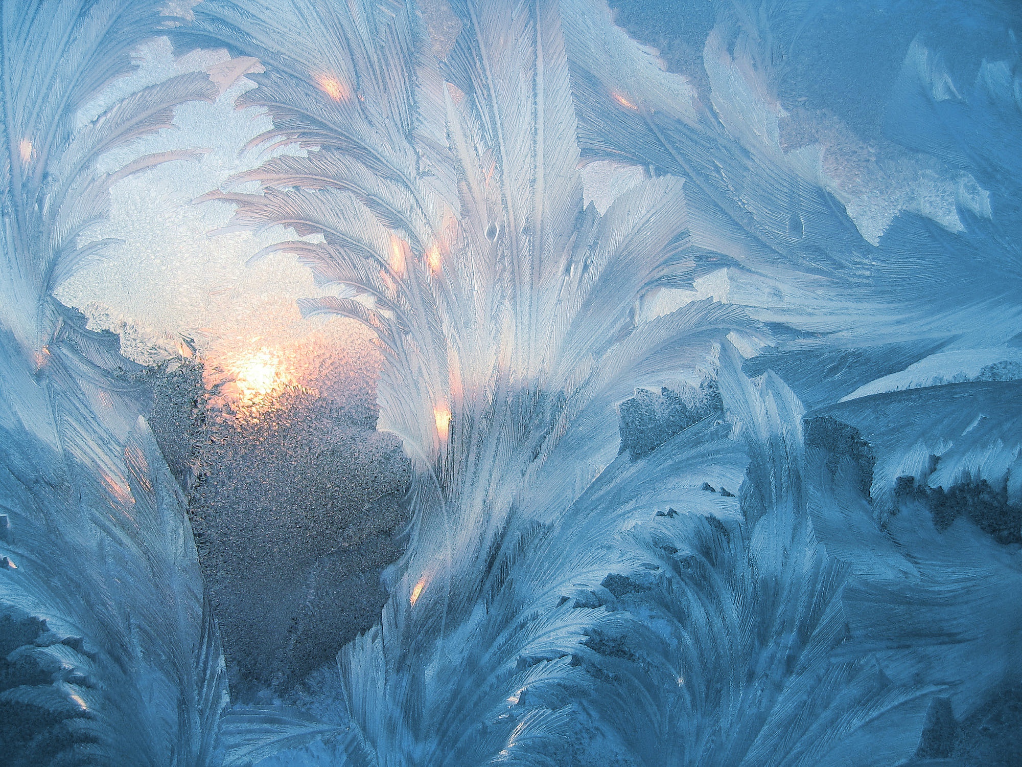 Frost patterns on a window with sunlight HD Wallpaper