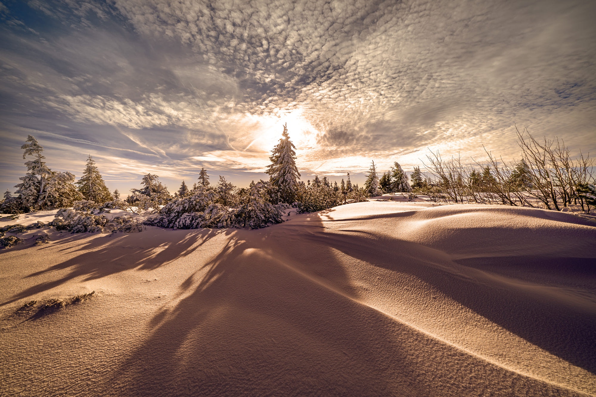 Winter landscape with snow-covered trees at dawn HD Wallpaper