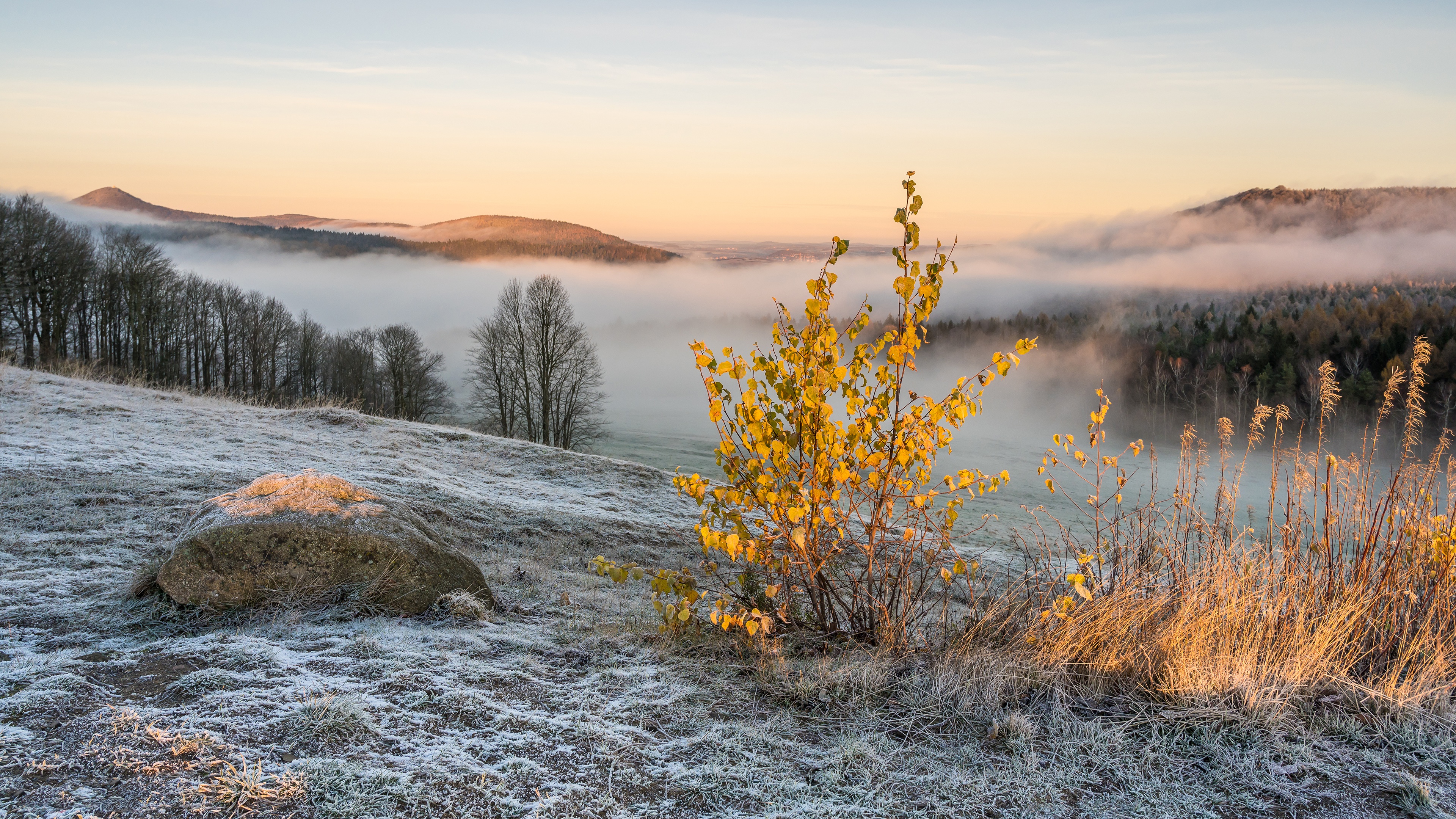 Winter Foggy Mountain Landscape with Frost HD Wallpaper