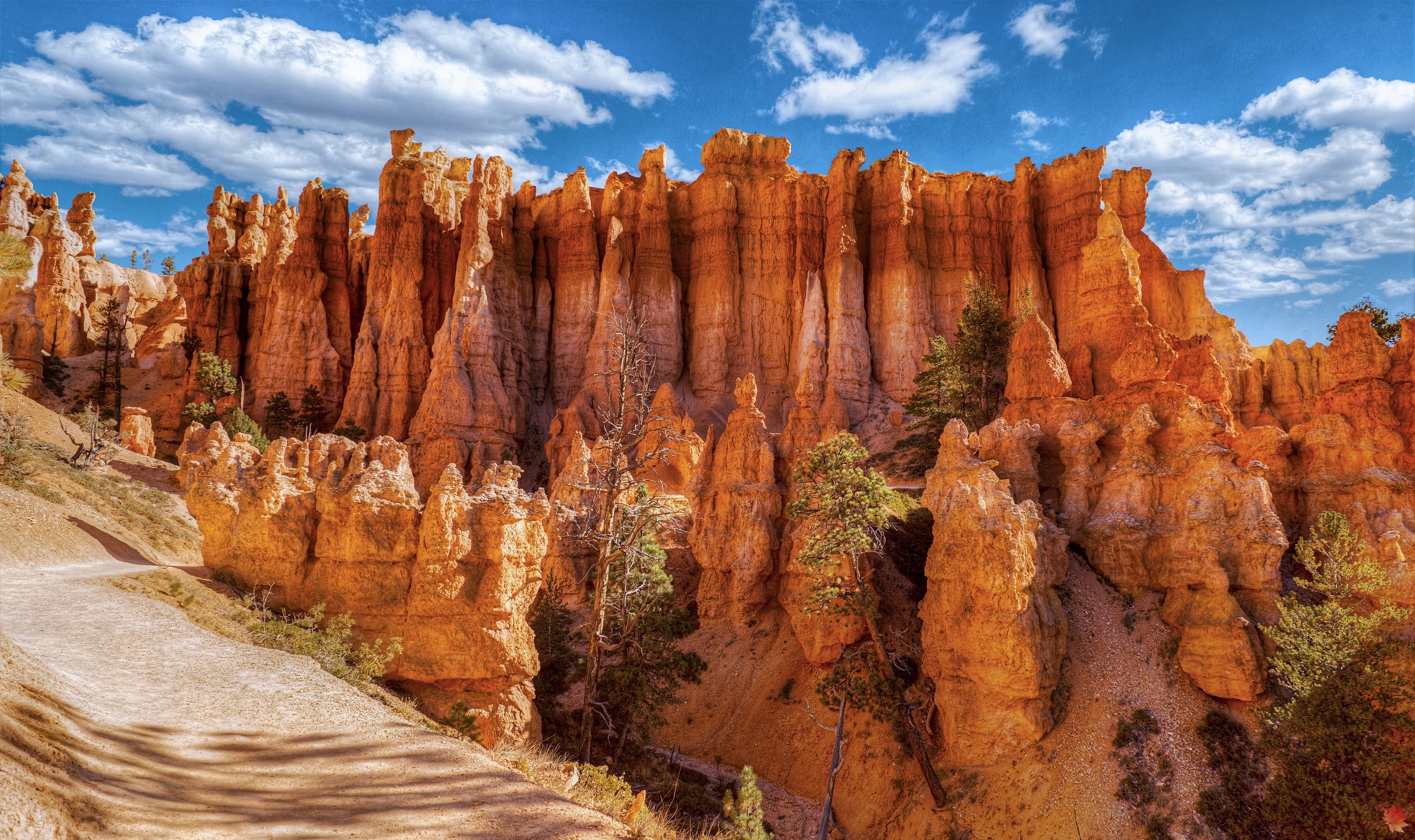 Bryce Canyon National Park Hoodoos HD Wallpaper