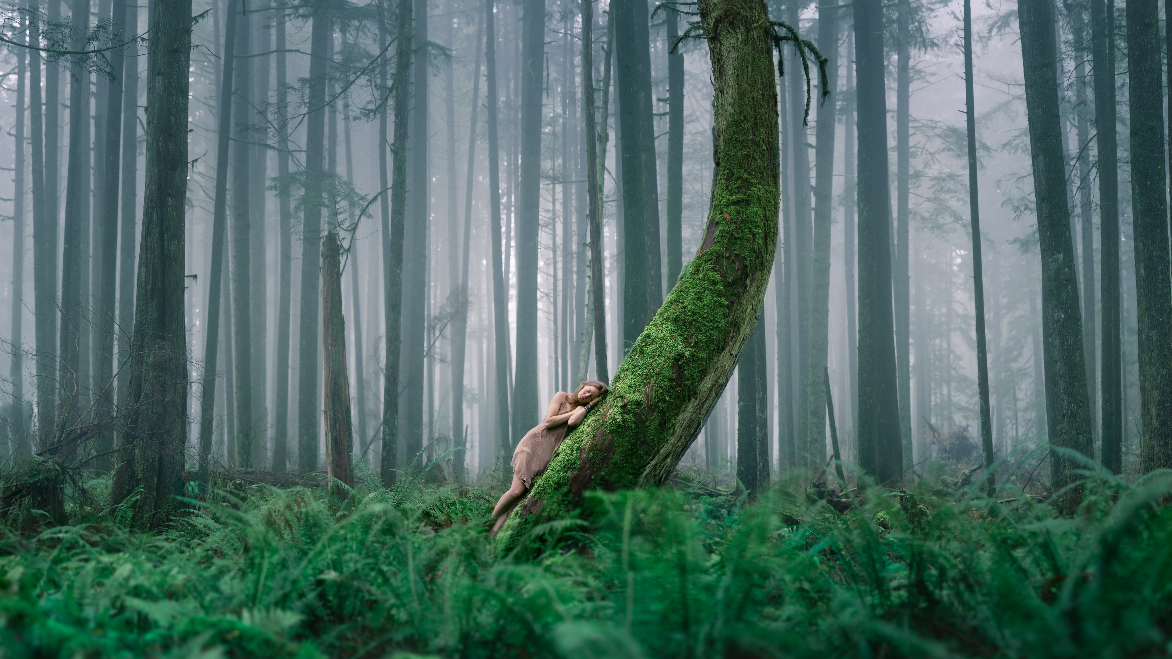 Woman leaning on mossy tree in foggy forest HD Wallpaper