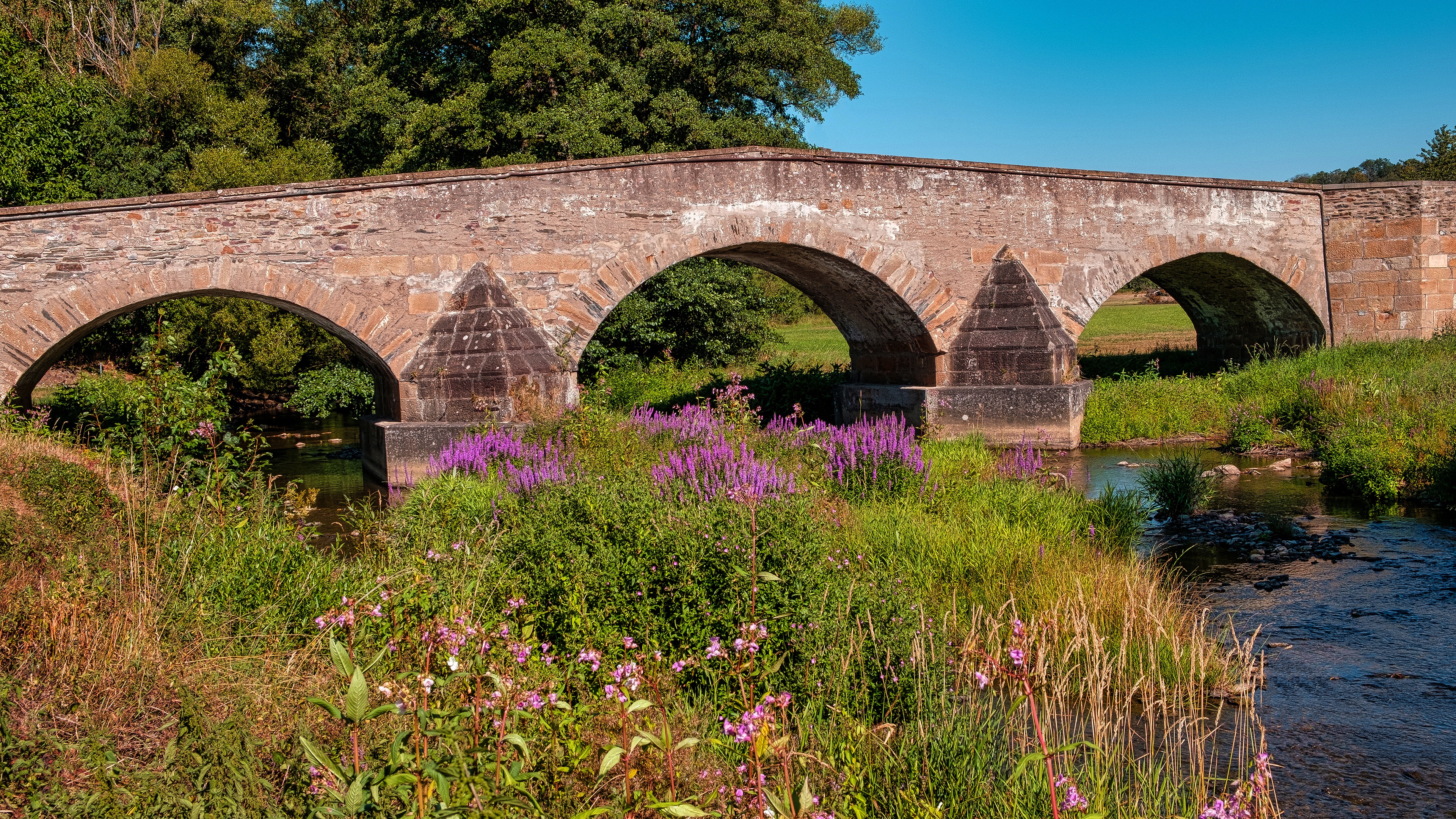 Stone arch bridge over a river with purple flowers HD Wallpaper