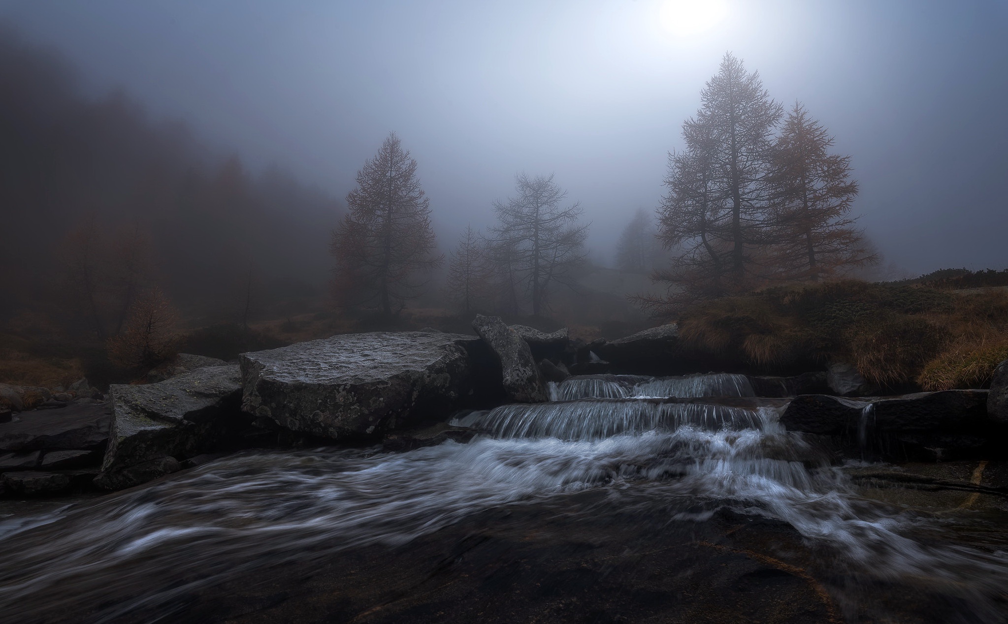 Misty forest with a river and trees HD Wallpaper