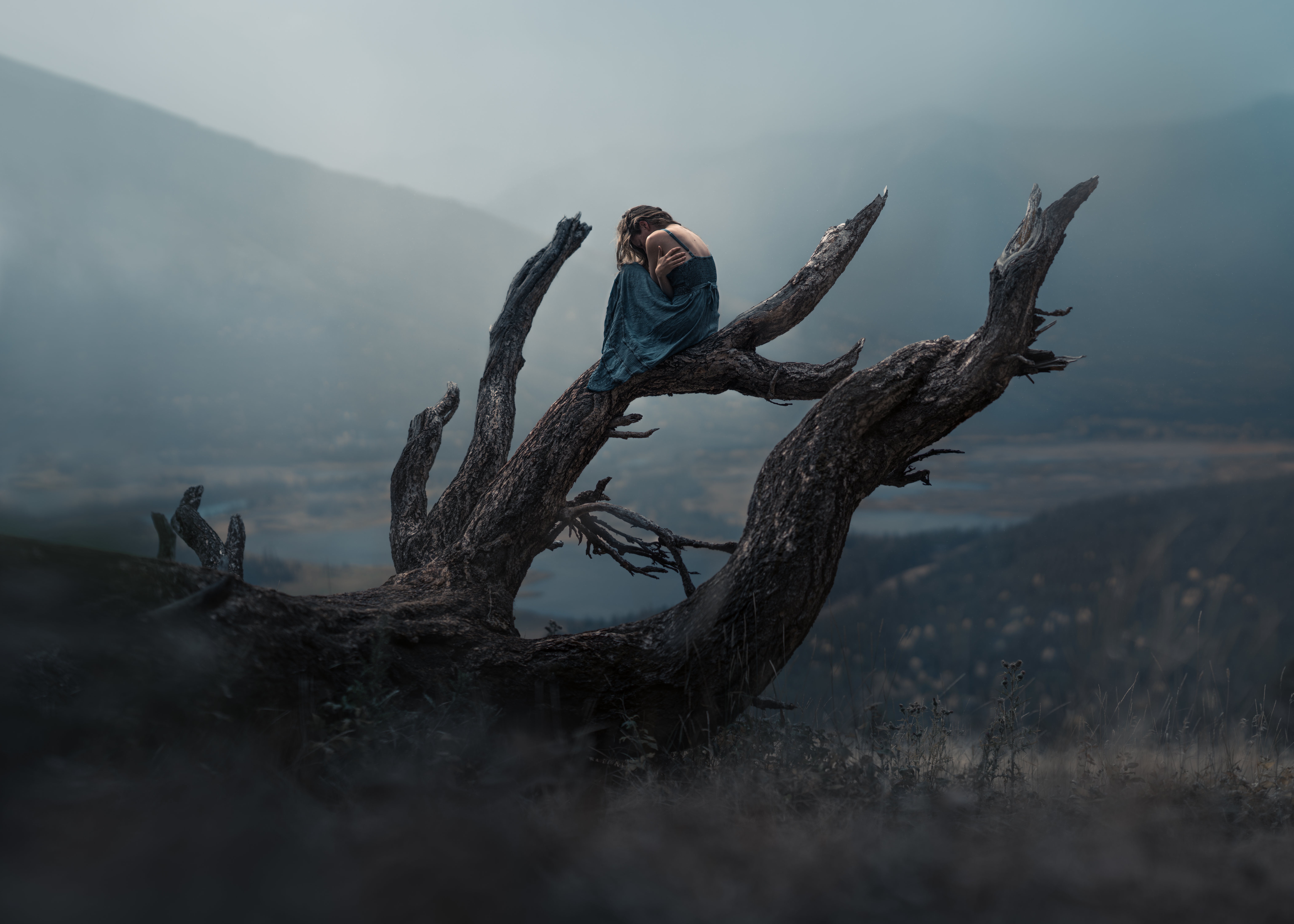 Woman sitting on a dead tree in fog HD Wallpaper