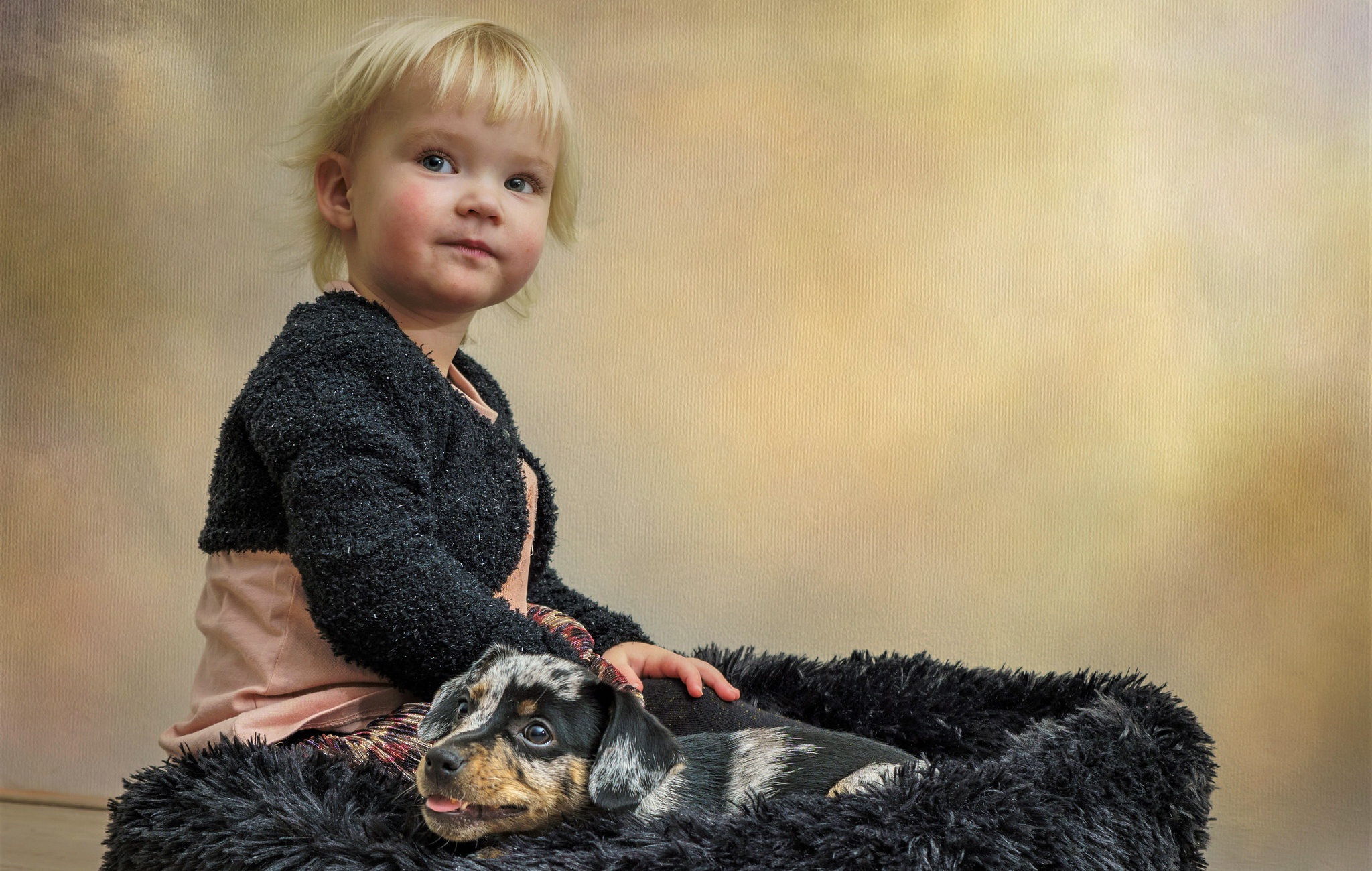 Young girl with a puppy in a fluffy bed HD Wallpaper