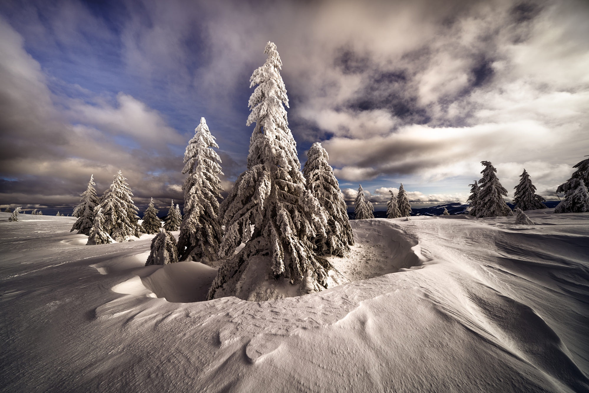 Snow-covered fir trees on a cloudy winter day HD Wallpaper