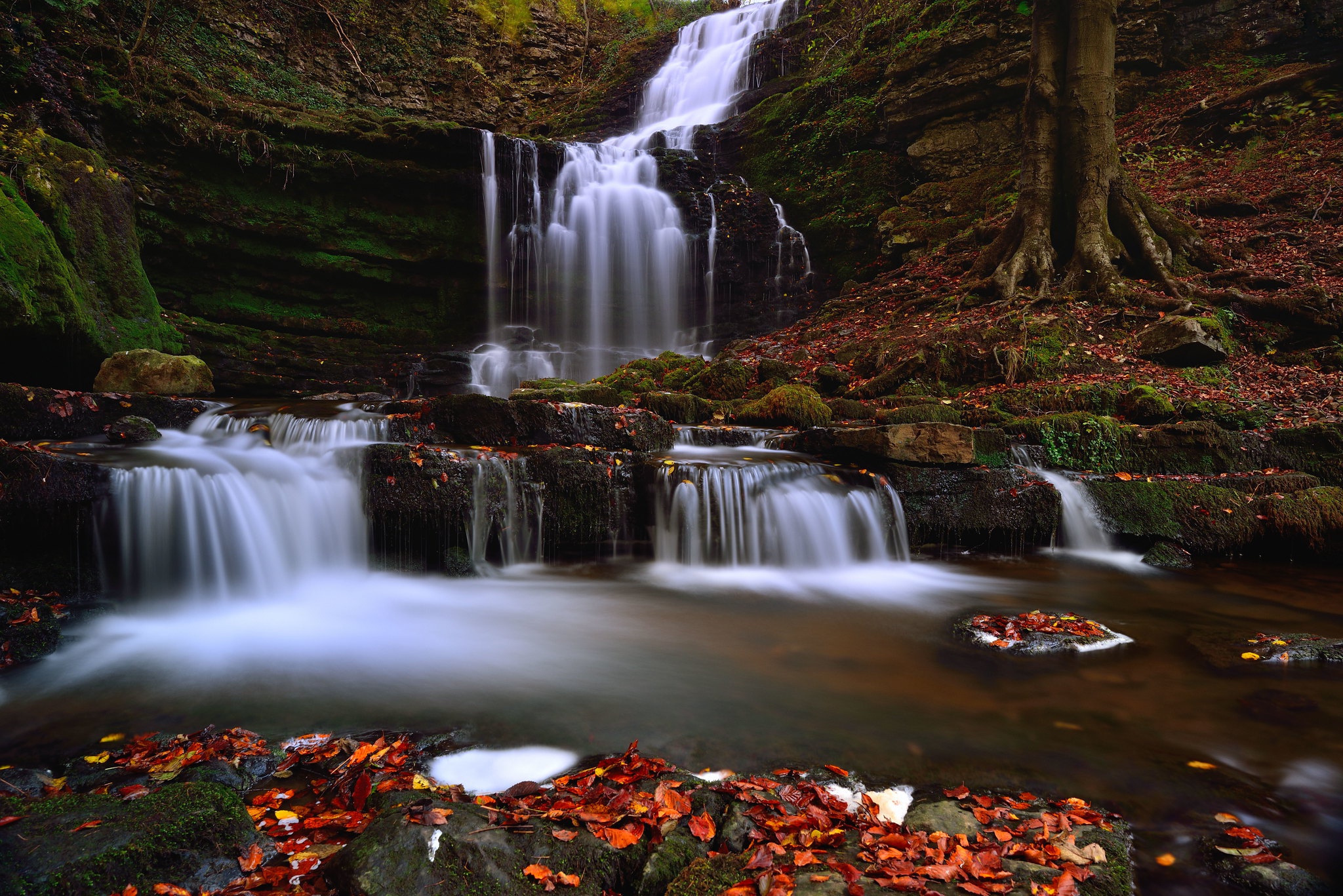 Waterfall in a forest during autumn HD Wallpaper