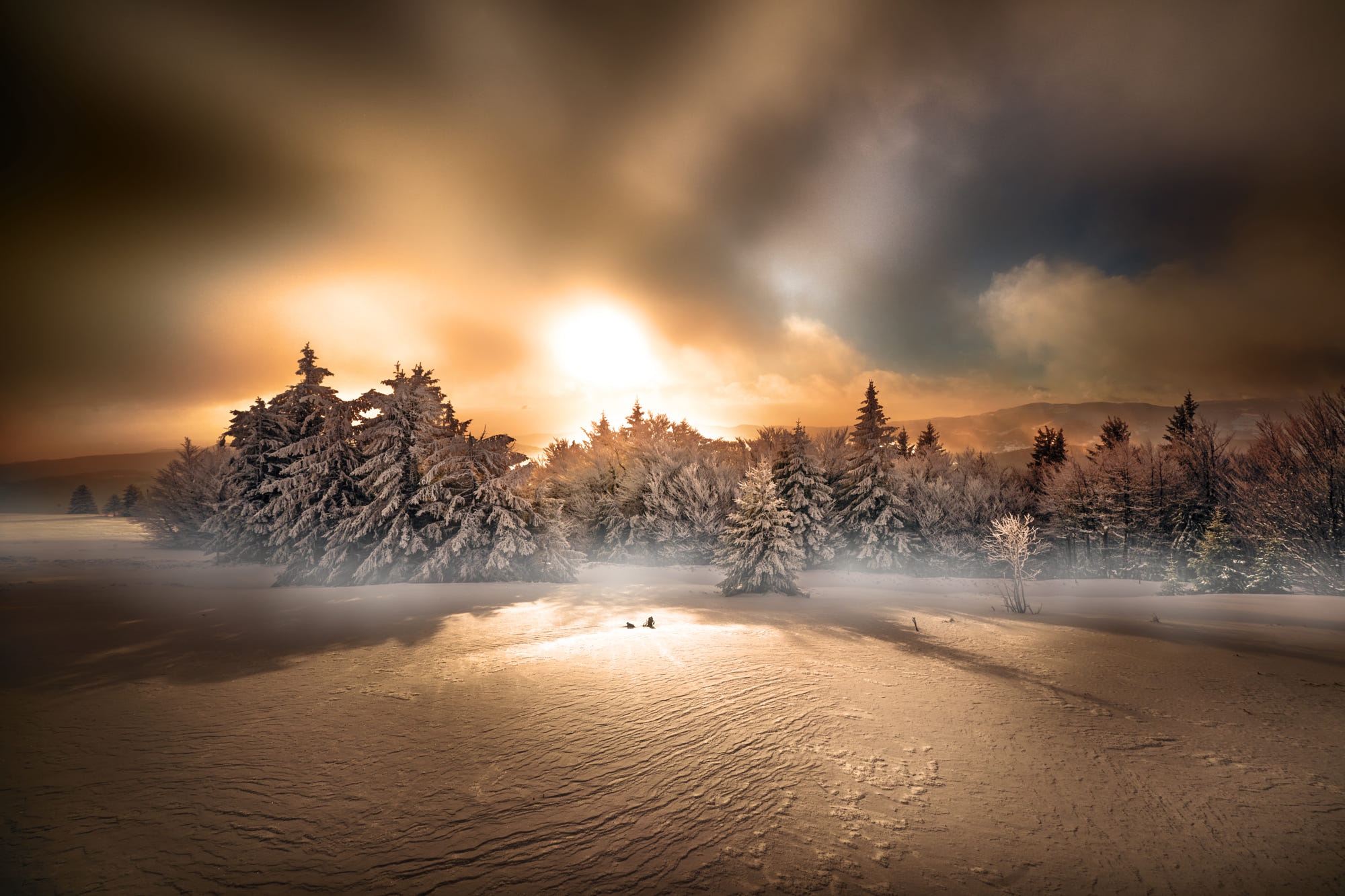 Winter forest at sunset with snow HD Wallpaper