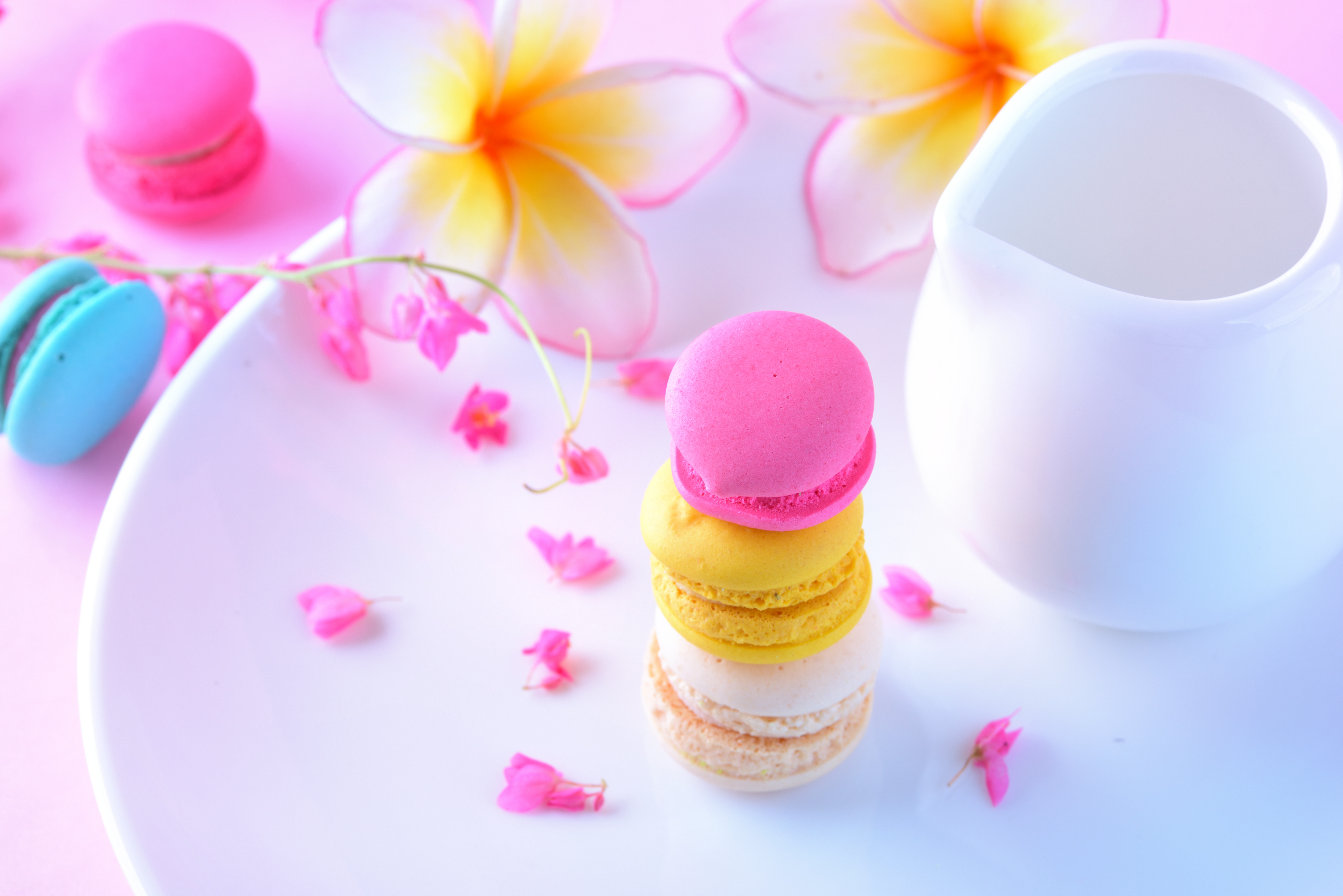 Macarons on a plate with flowers HD Wallpaper