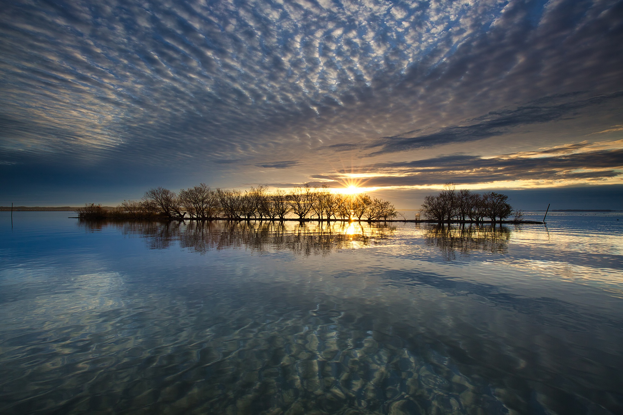 Sunset over a calm lake with trees reflected in the water HD Wallpaper