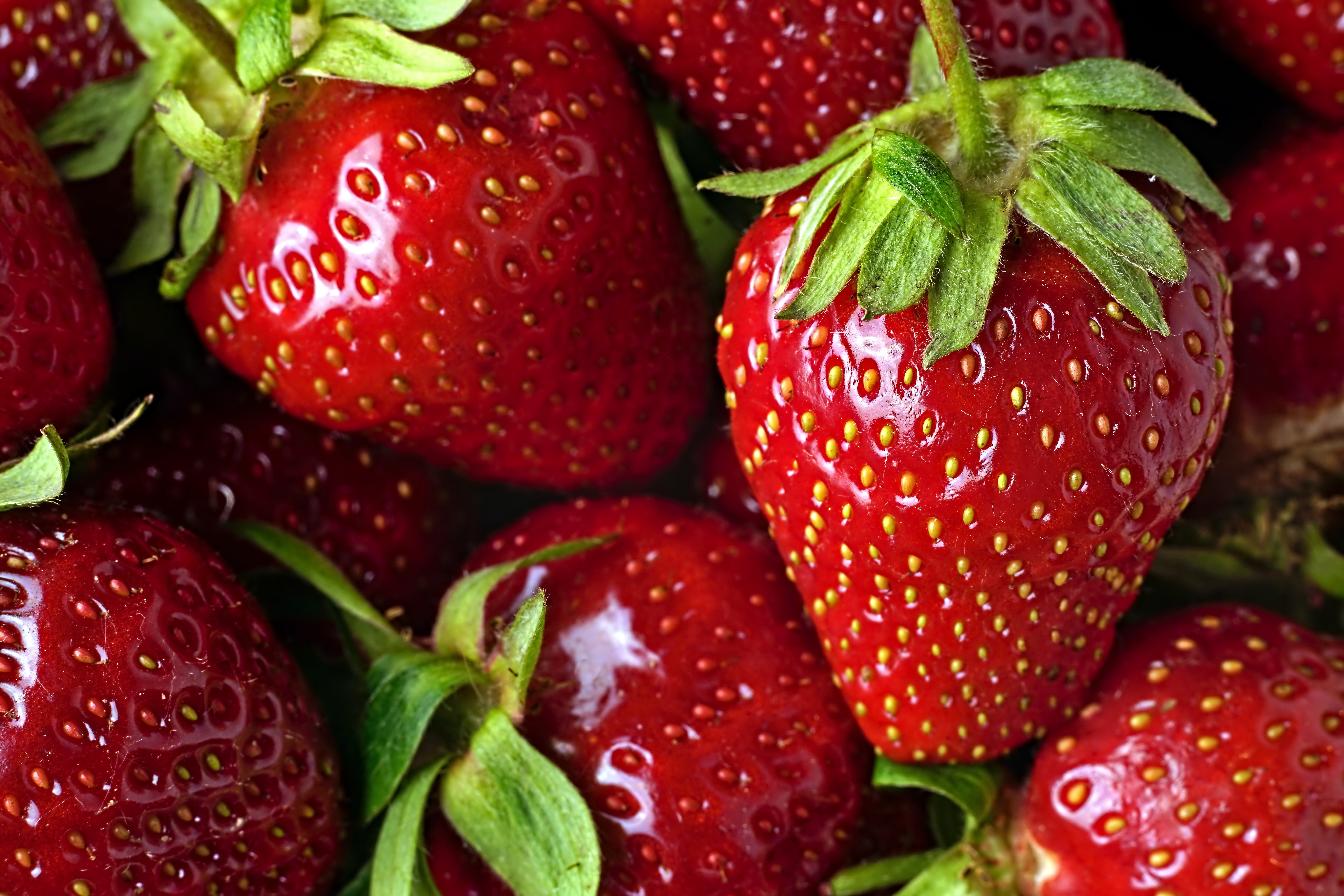 Macro shot of fresh red strawberries HD Wallpaper