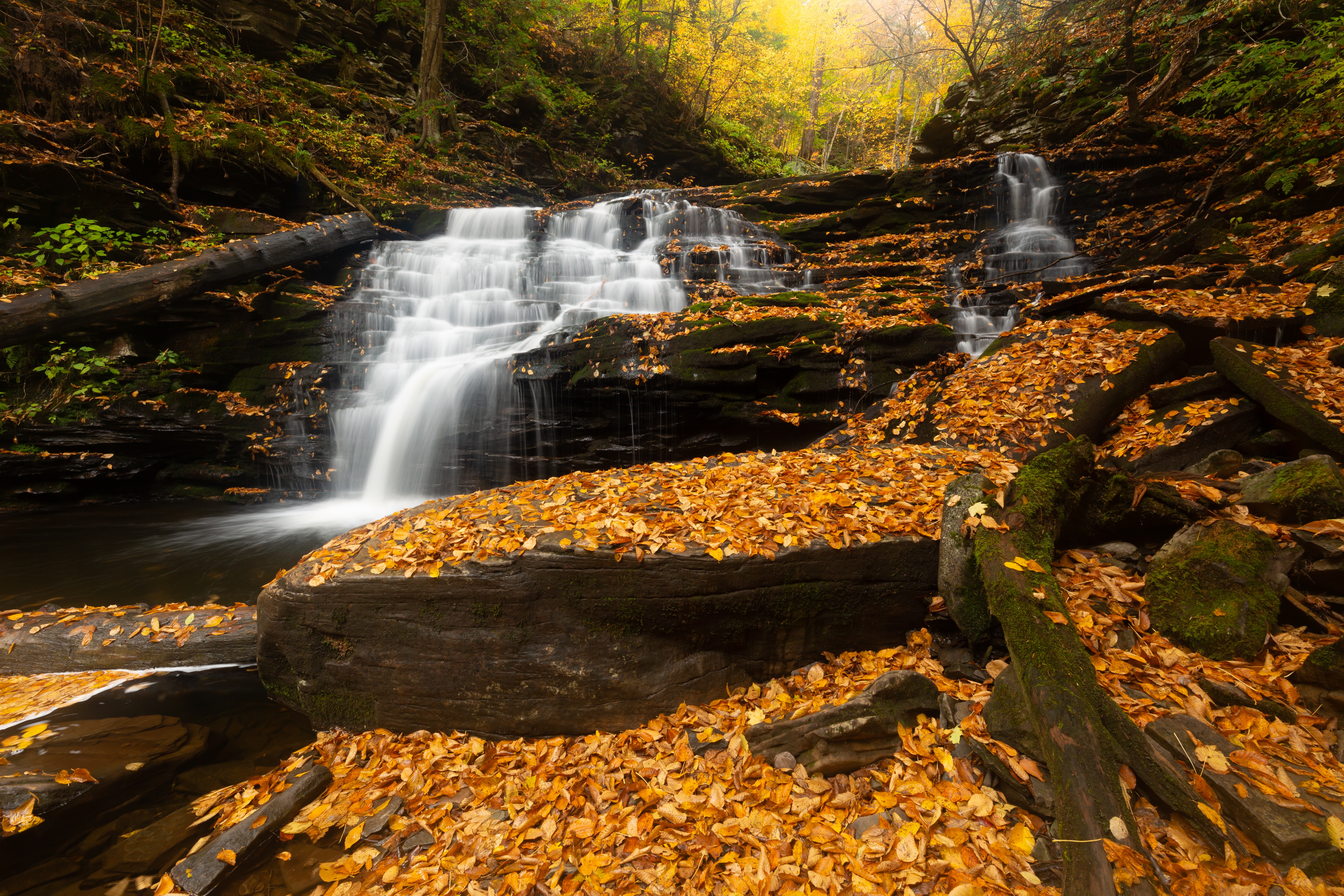 Waterfall in Fall Foliage HD Wallpaper