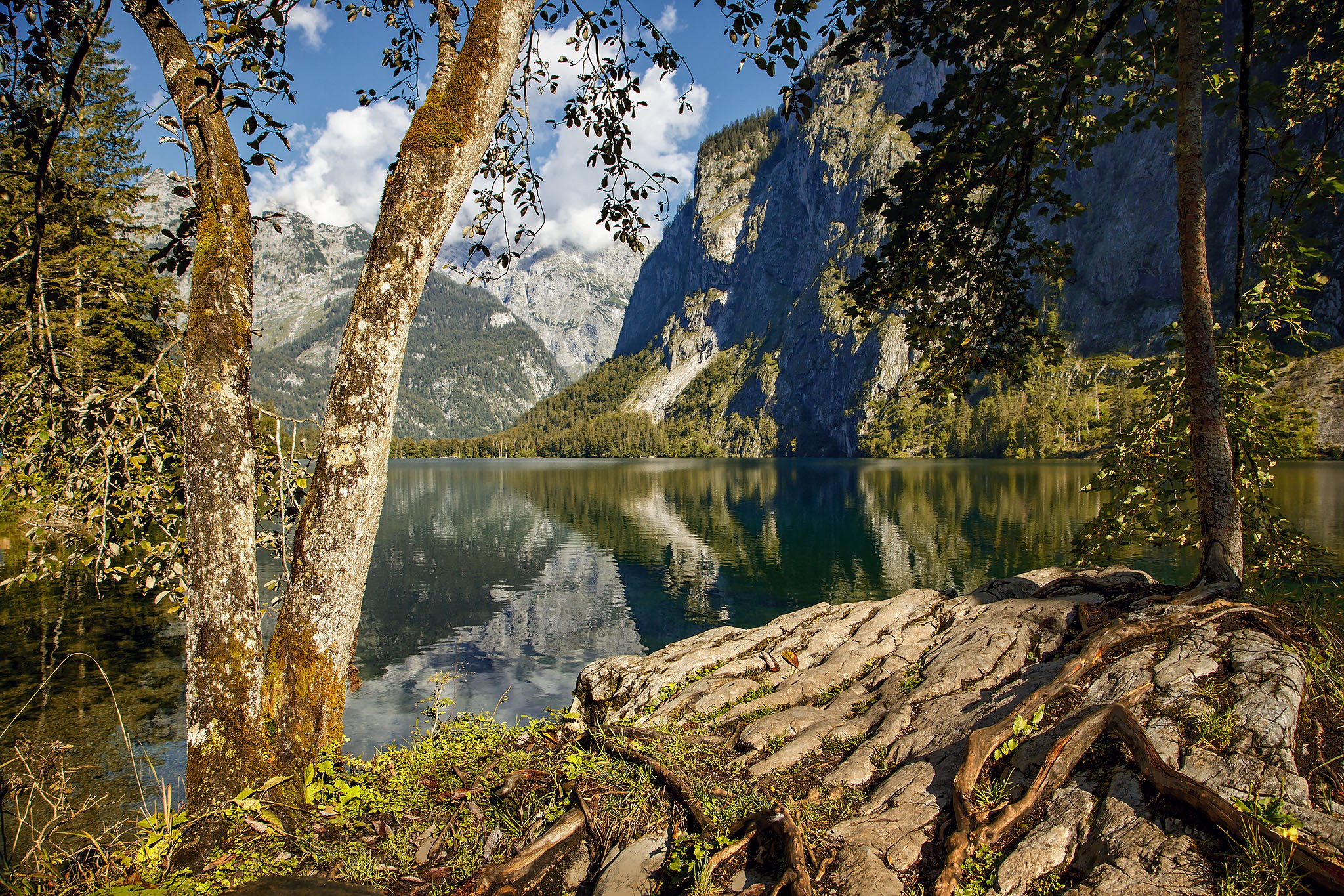 Lake and mountains with trees in Germany HD Wallpaper