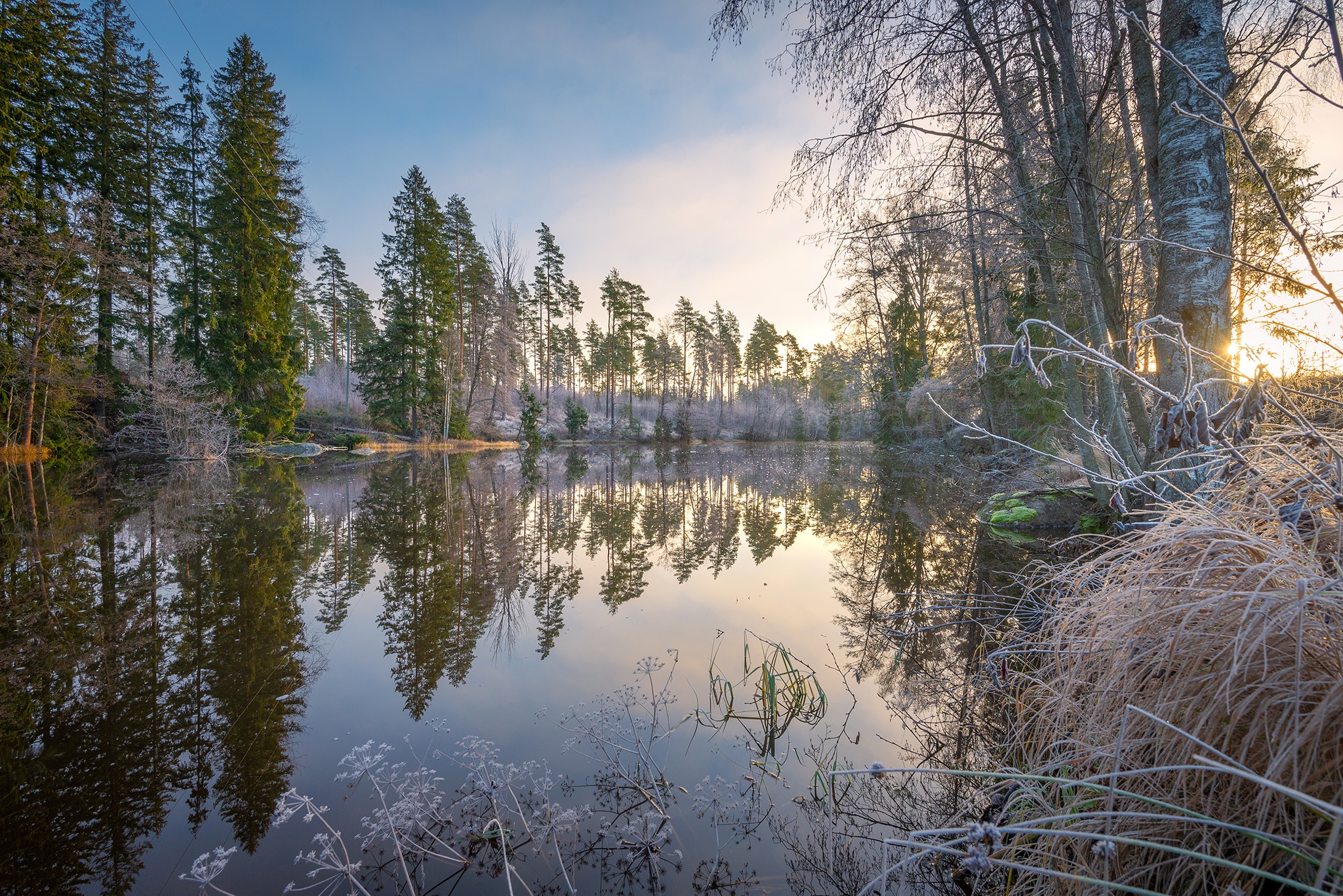 Forest lake with reflections at sunrise HD Wallpaper