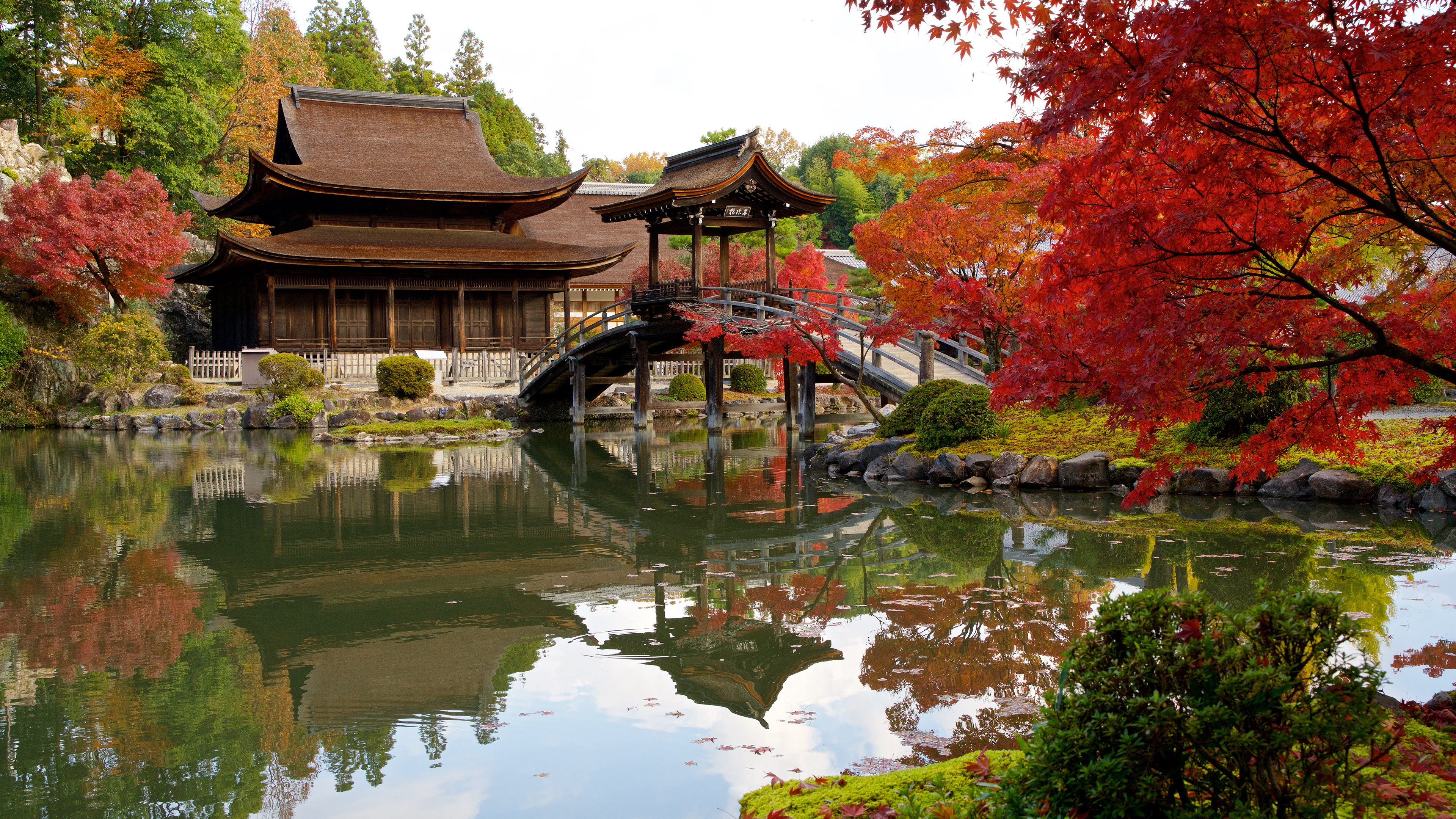 Japanese Garden with Pagoda and Autumn Foliage HD Wallpaper