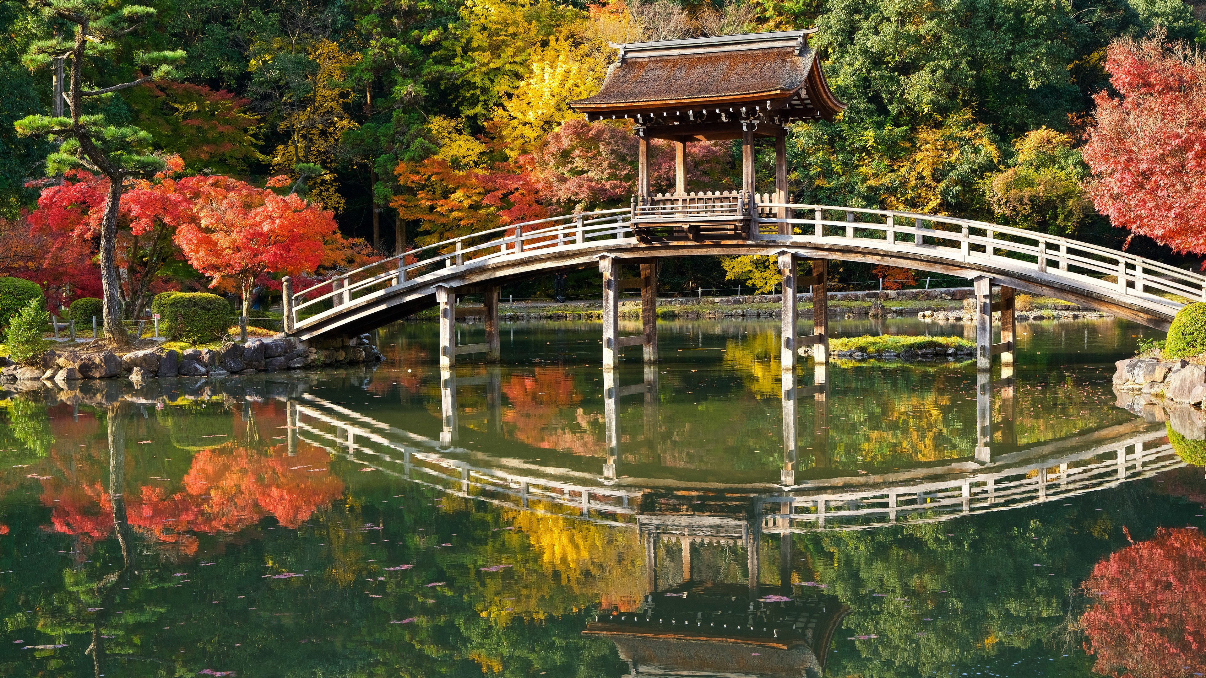 Japanese Garden Bridge Over Pond in Fall HD Wallpaper