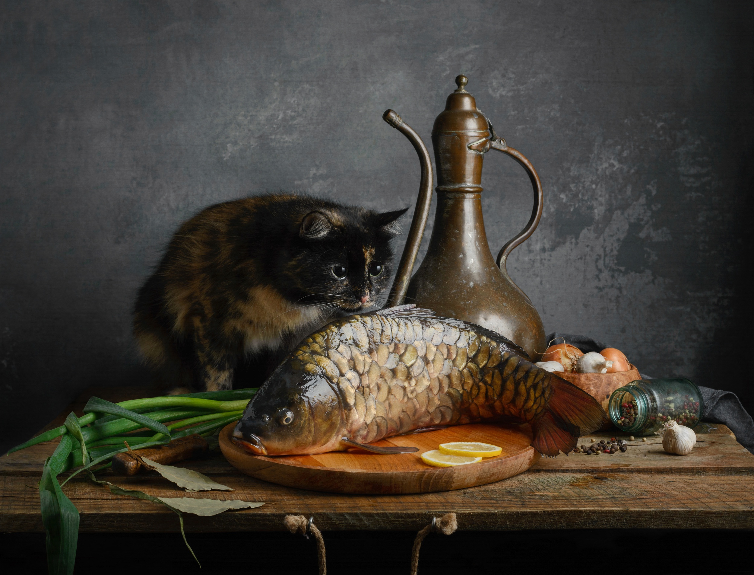 Cat and Fish Still Life HD Wallpaper
