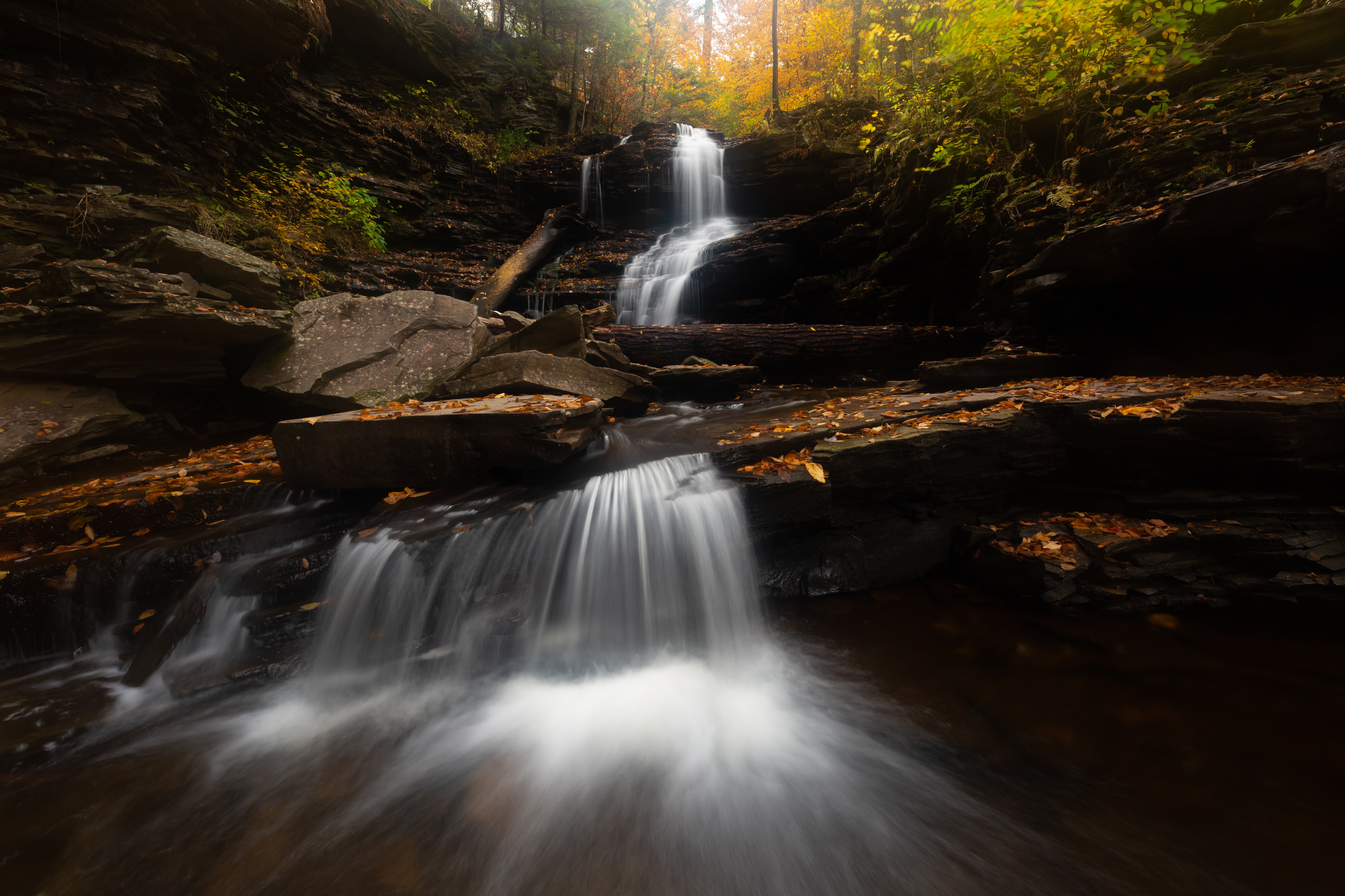 Waterfall in a forest with autumn leaves HD Wallpaper