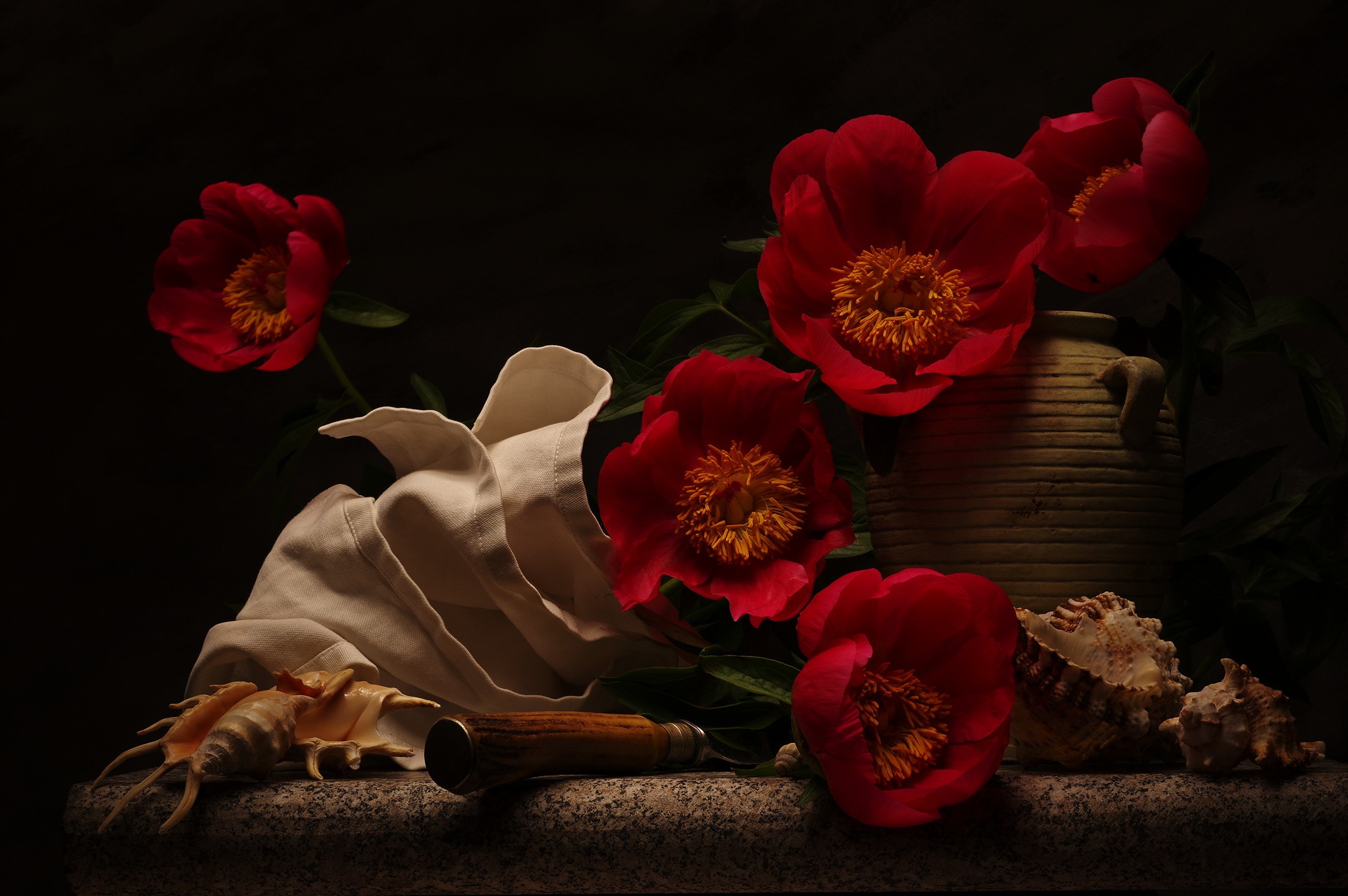 Still life with red peonies, shells, and a vase HD Wallpaper