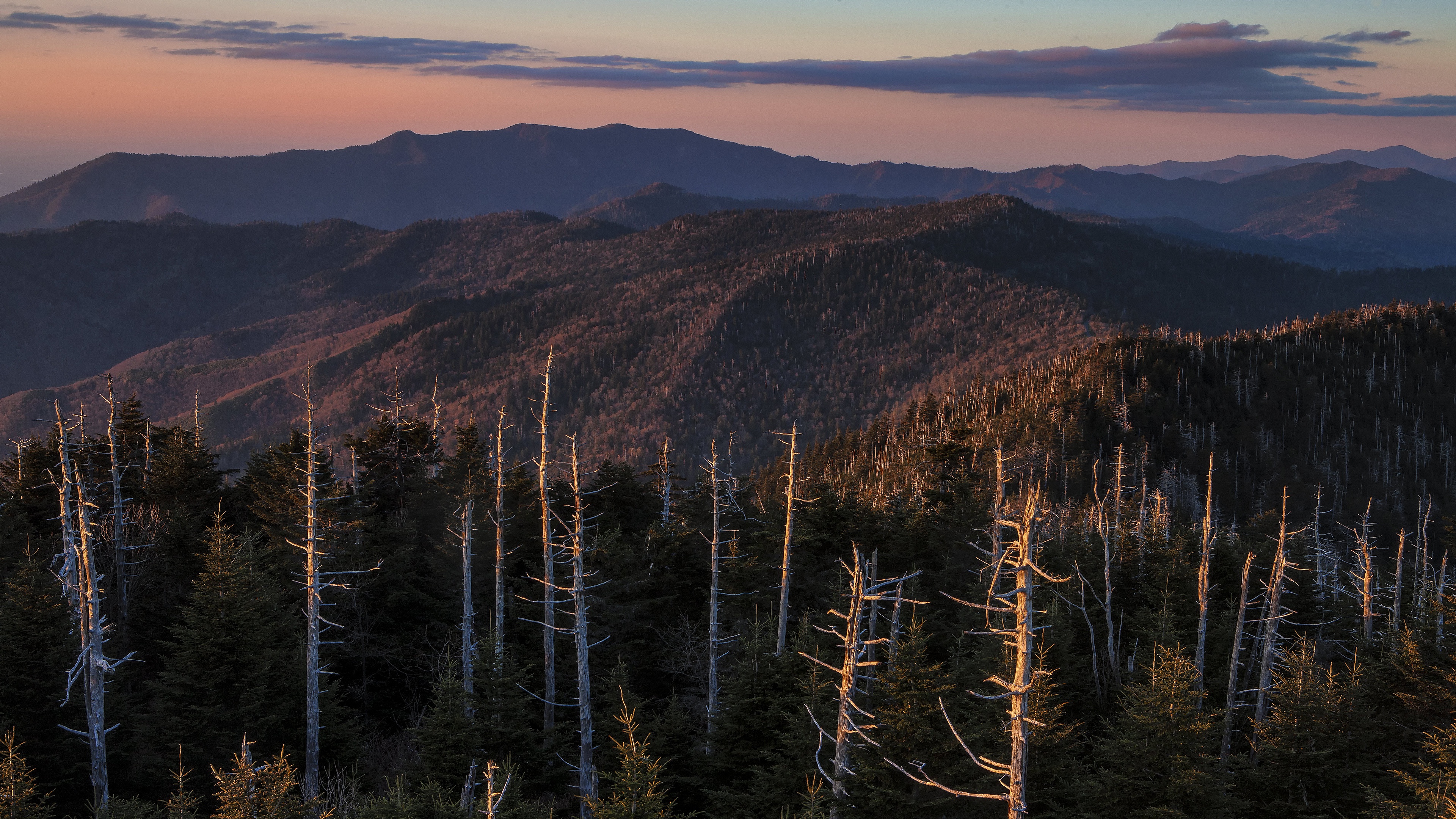 Mountain landscape with dead trees at sunset HD Wallpaper