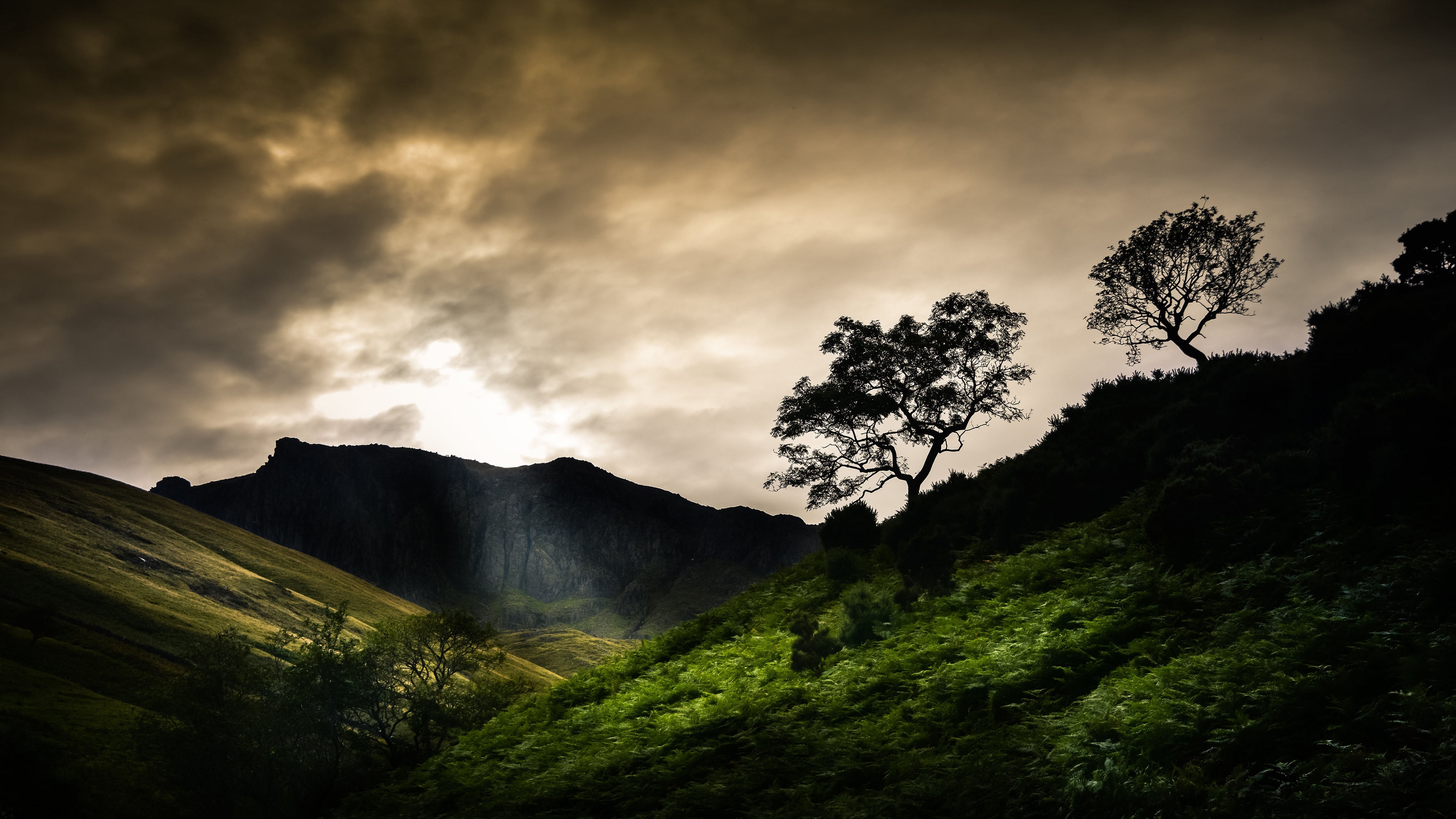 Dramatic Mountain Landscape with Silhouetted Trees HD Wallpaper