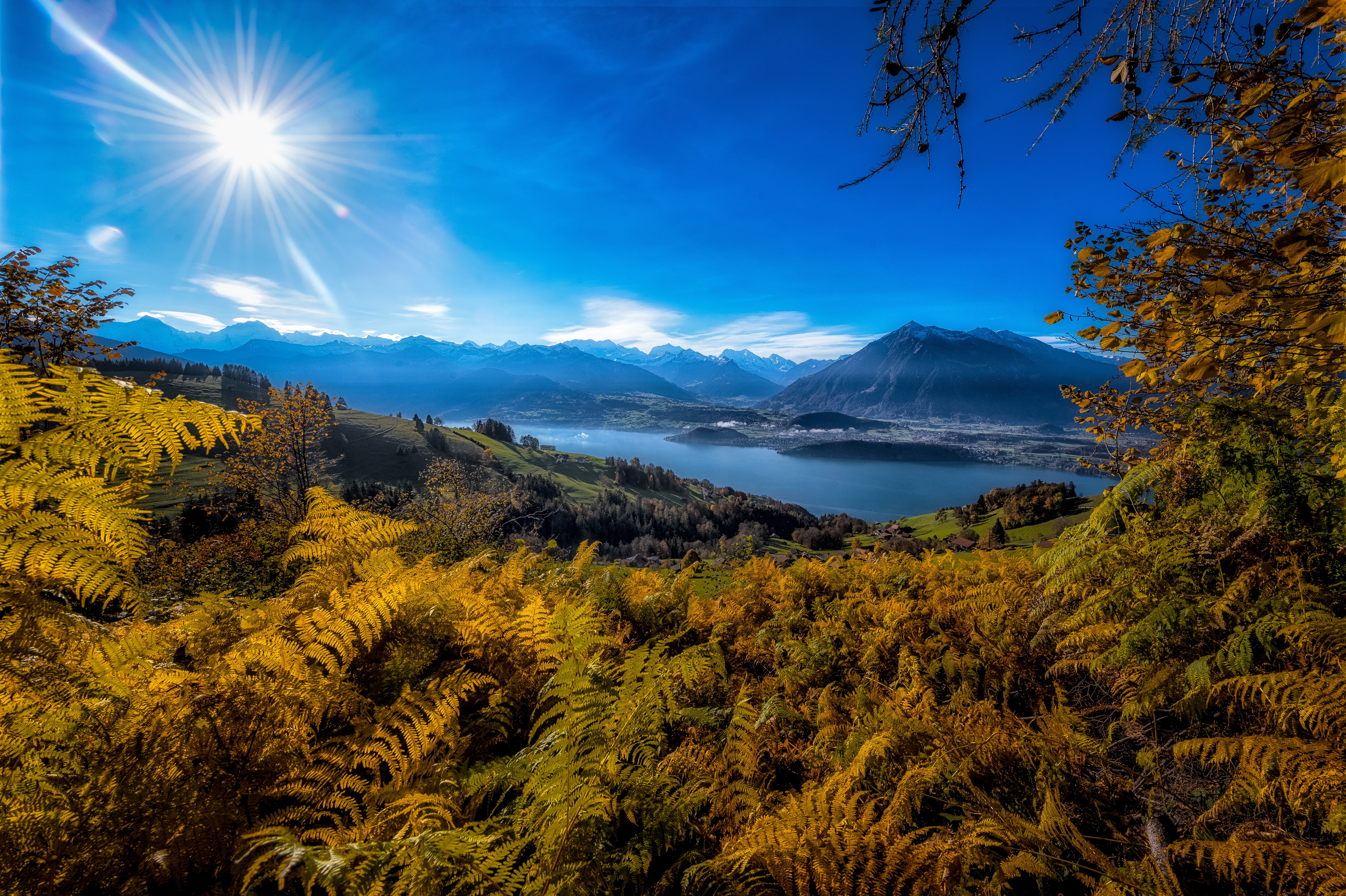 Sunbeam over Mountains and Lake with Ferns HD Wallpaper