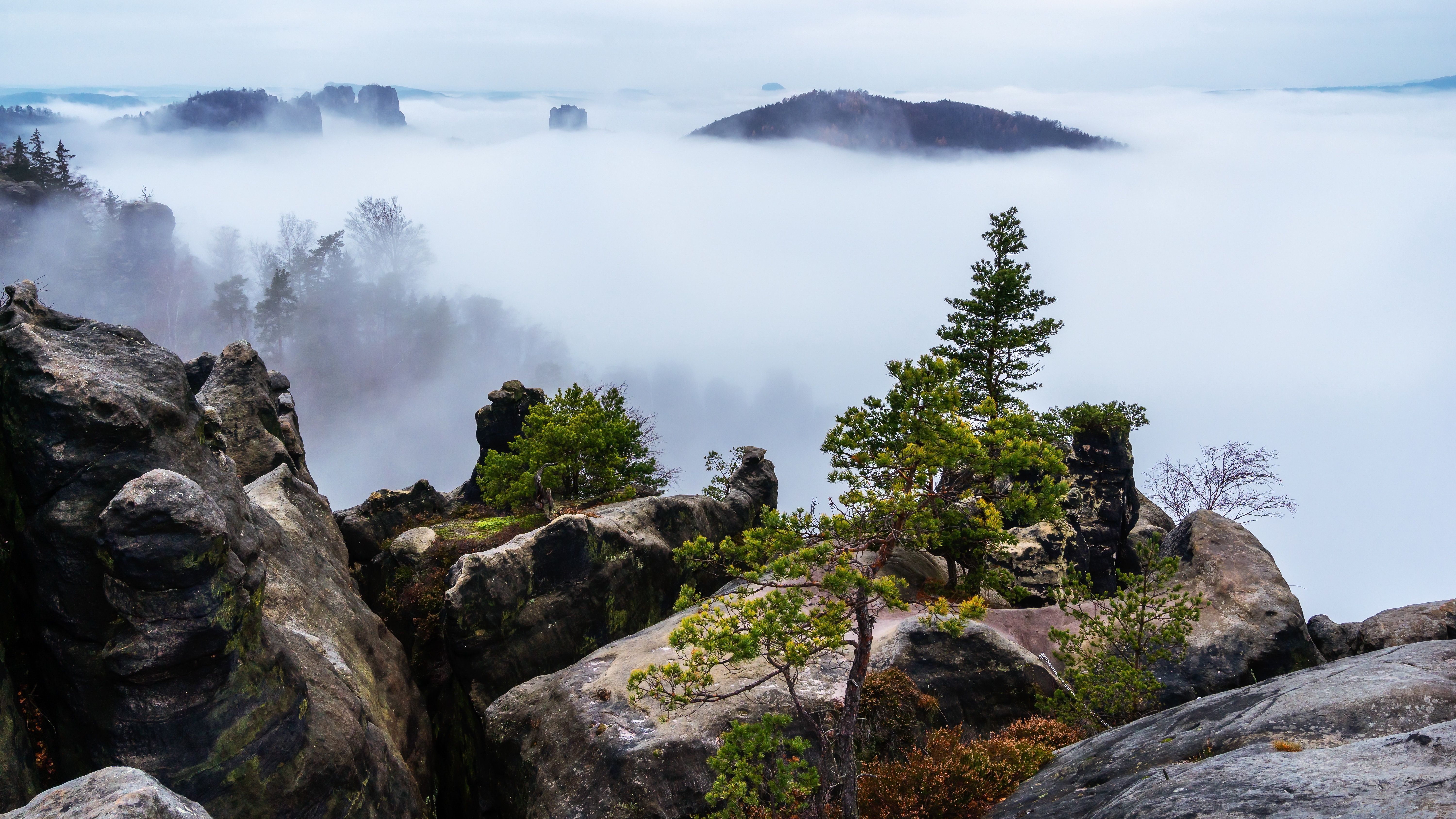 Misty mountains with rock formations and trees HD Wallpaper