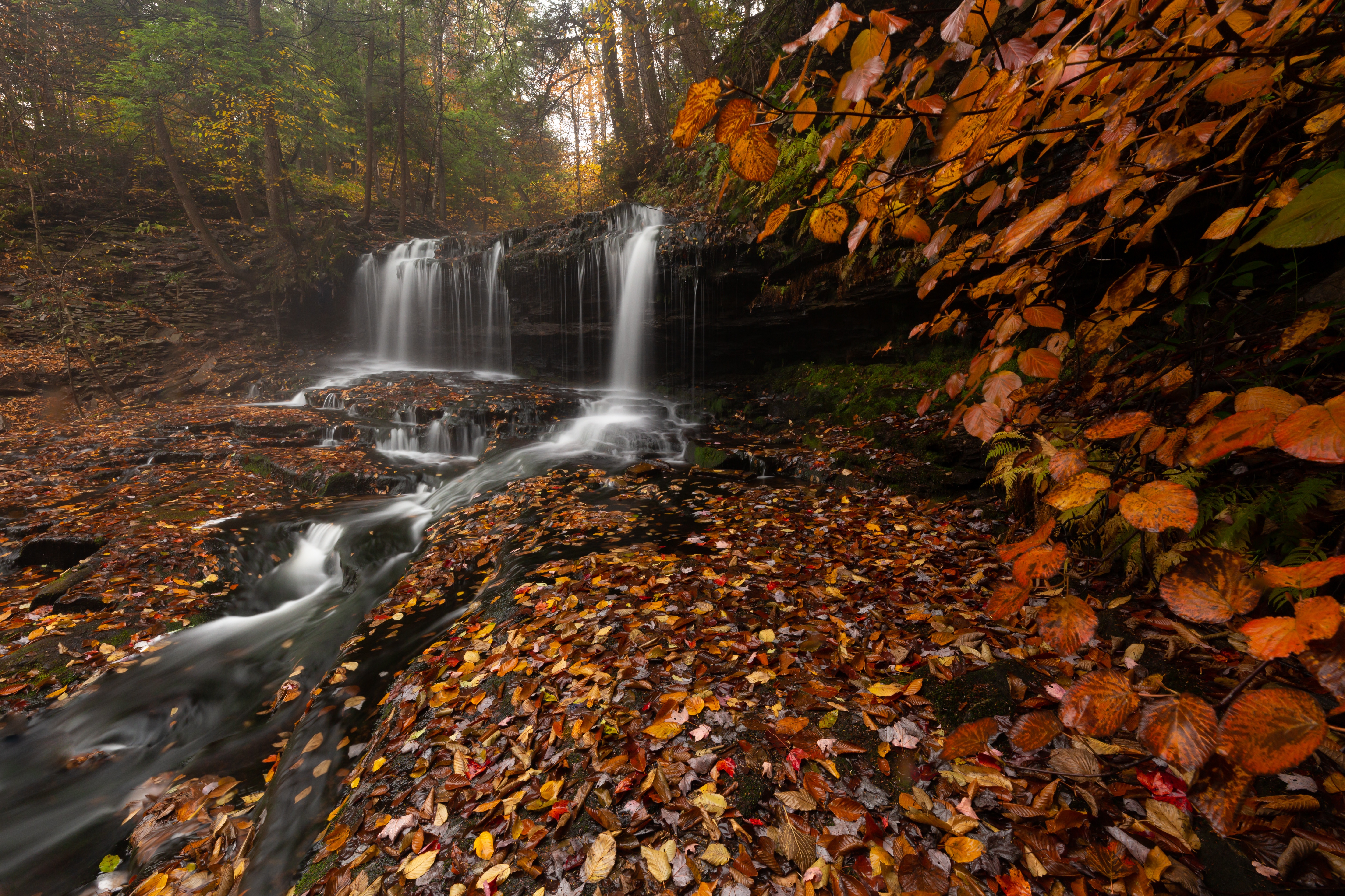 Waterfall in Autumn Forest with Fallen Leaves HD Wallpaper