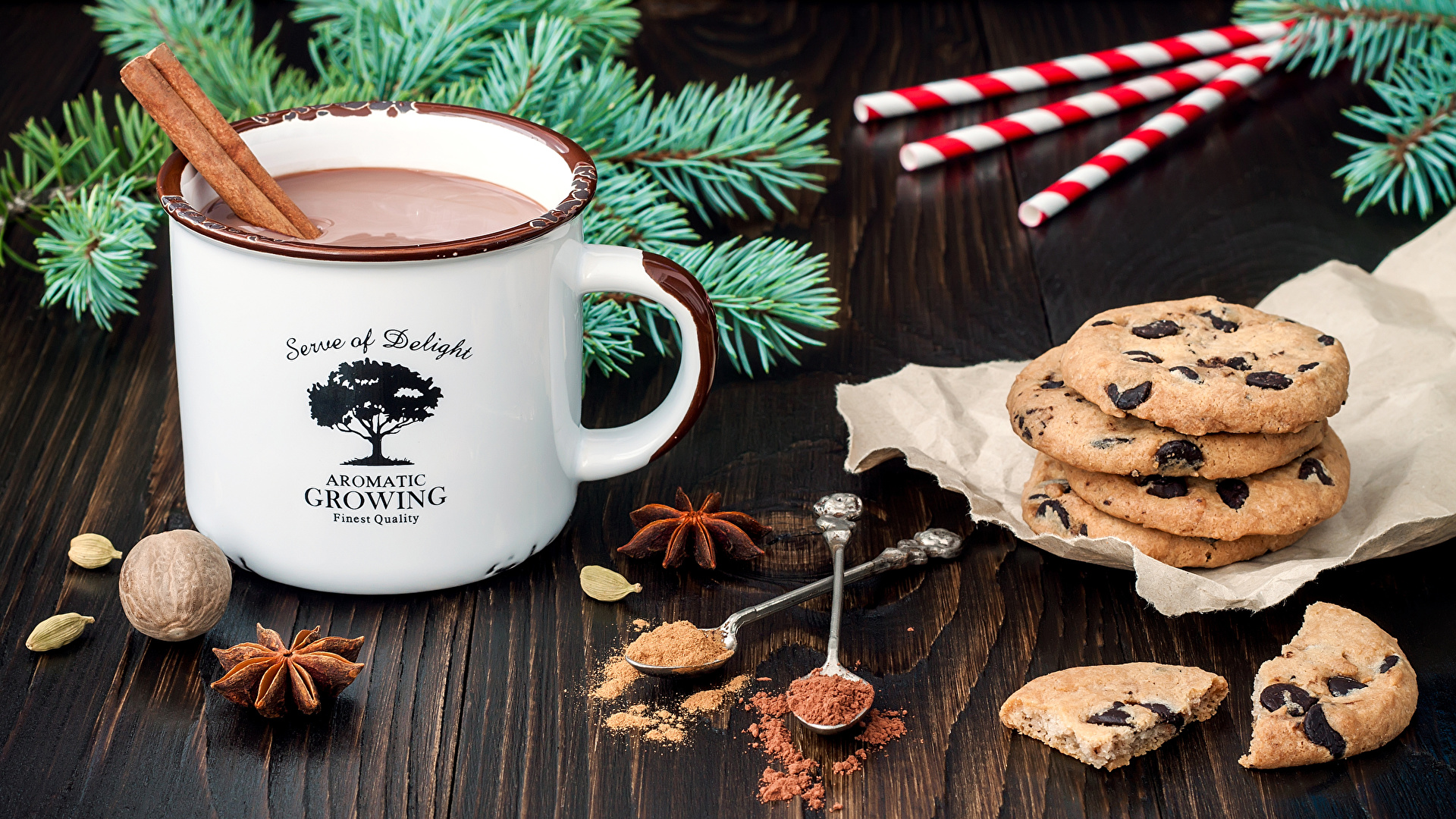 Hot Chocolate with Cinnamon and Chocolate Chip Cookies HD Wallpaper