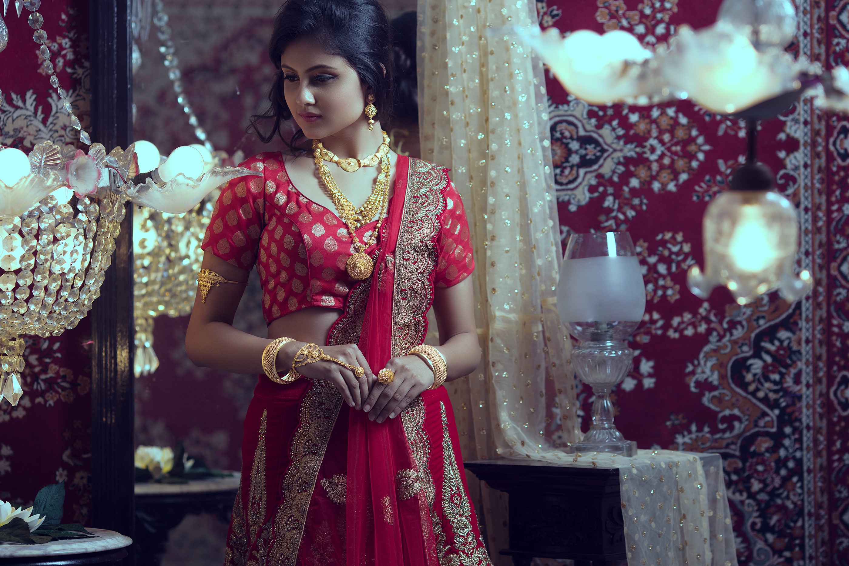 Elegant Indian Model in Traditional Sari and Jewelry HD Wallpaper