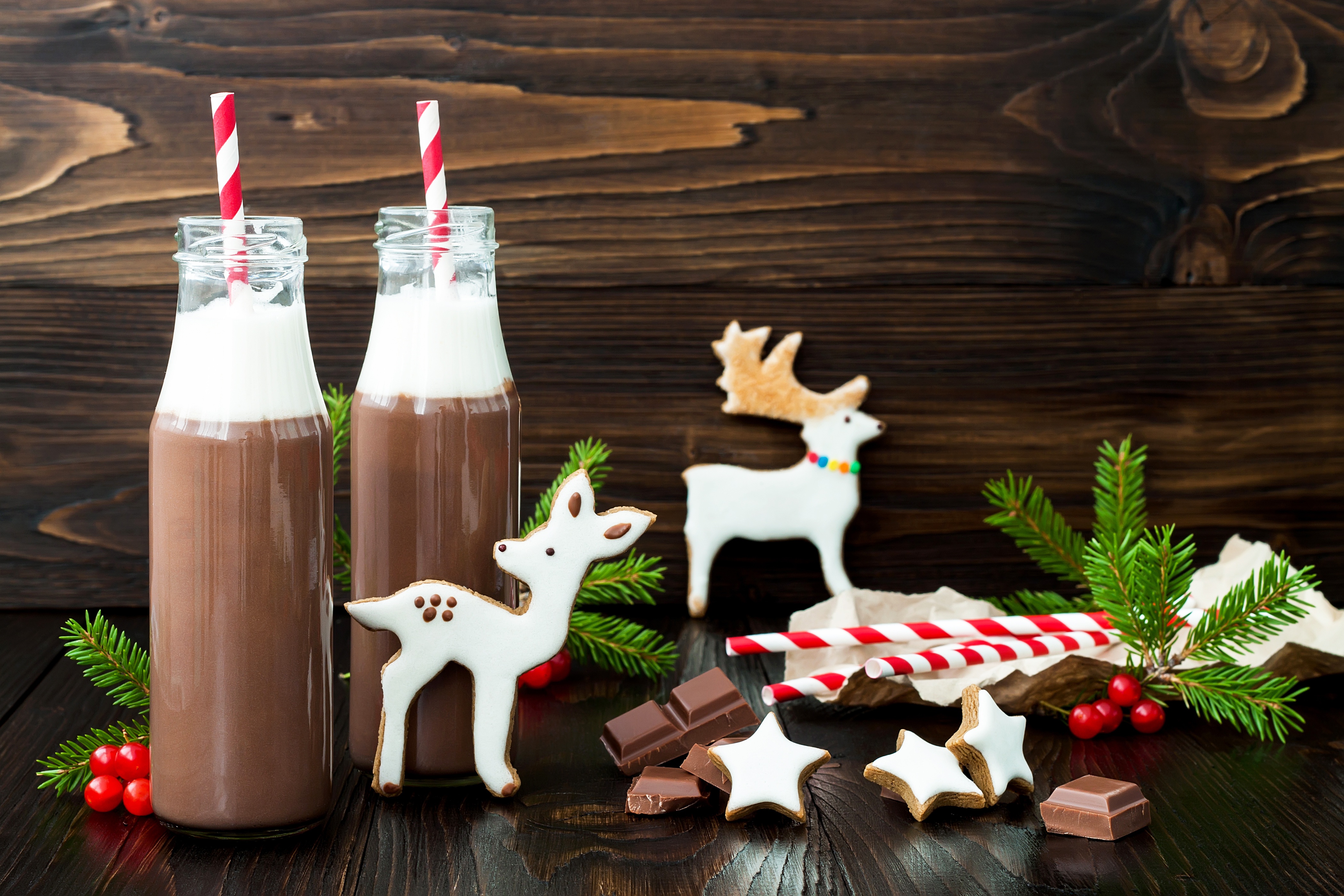 Christmas hot chocolate with cookies and decorations HD Wallpaper