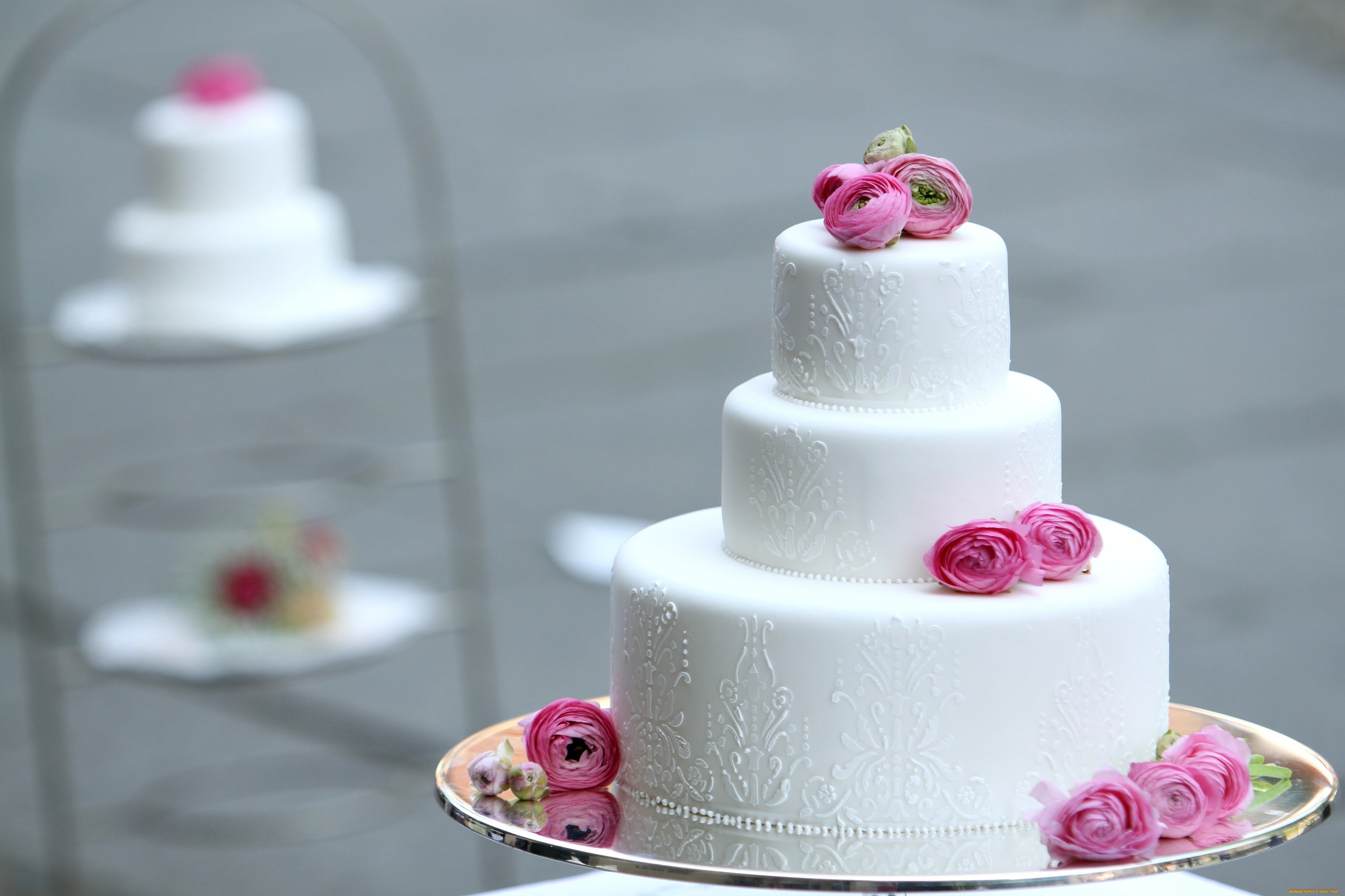 White tiered cake with pink ranunculus flowers HD Wallpaper