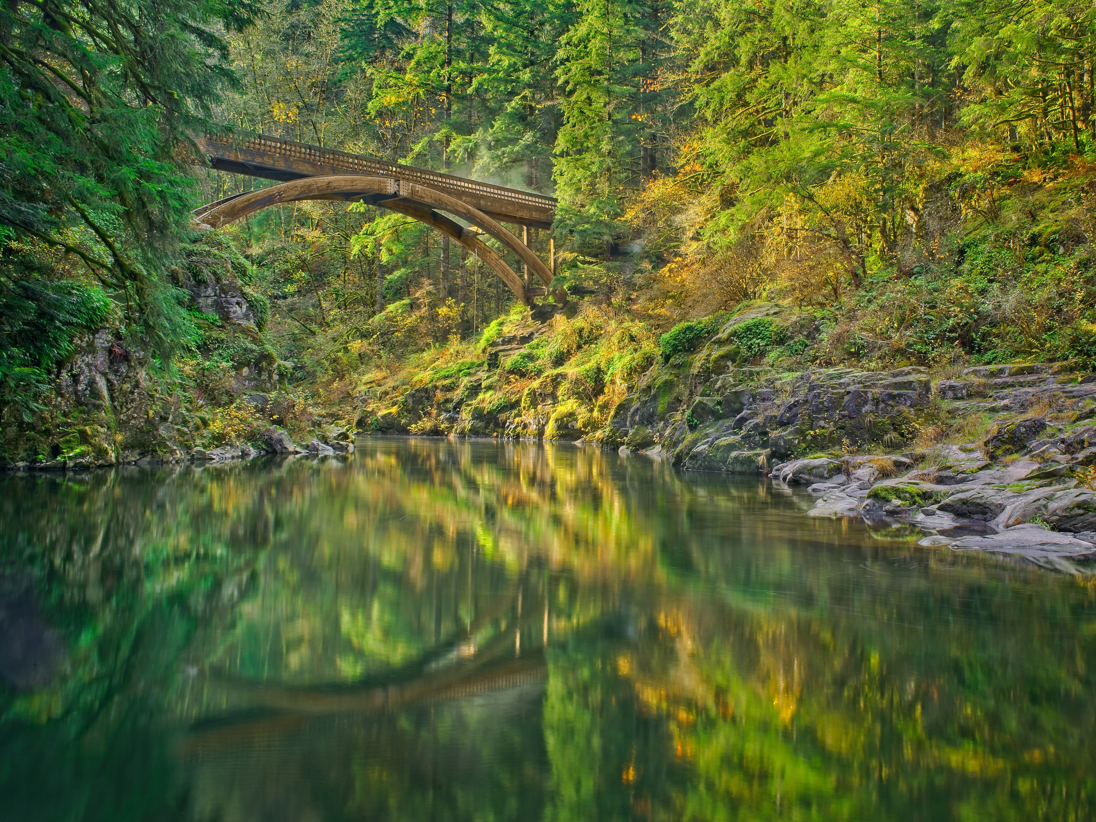 Moulton Falls Bridge over Lewis River in Forest HD Wallpaper