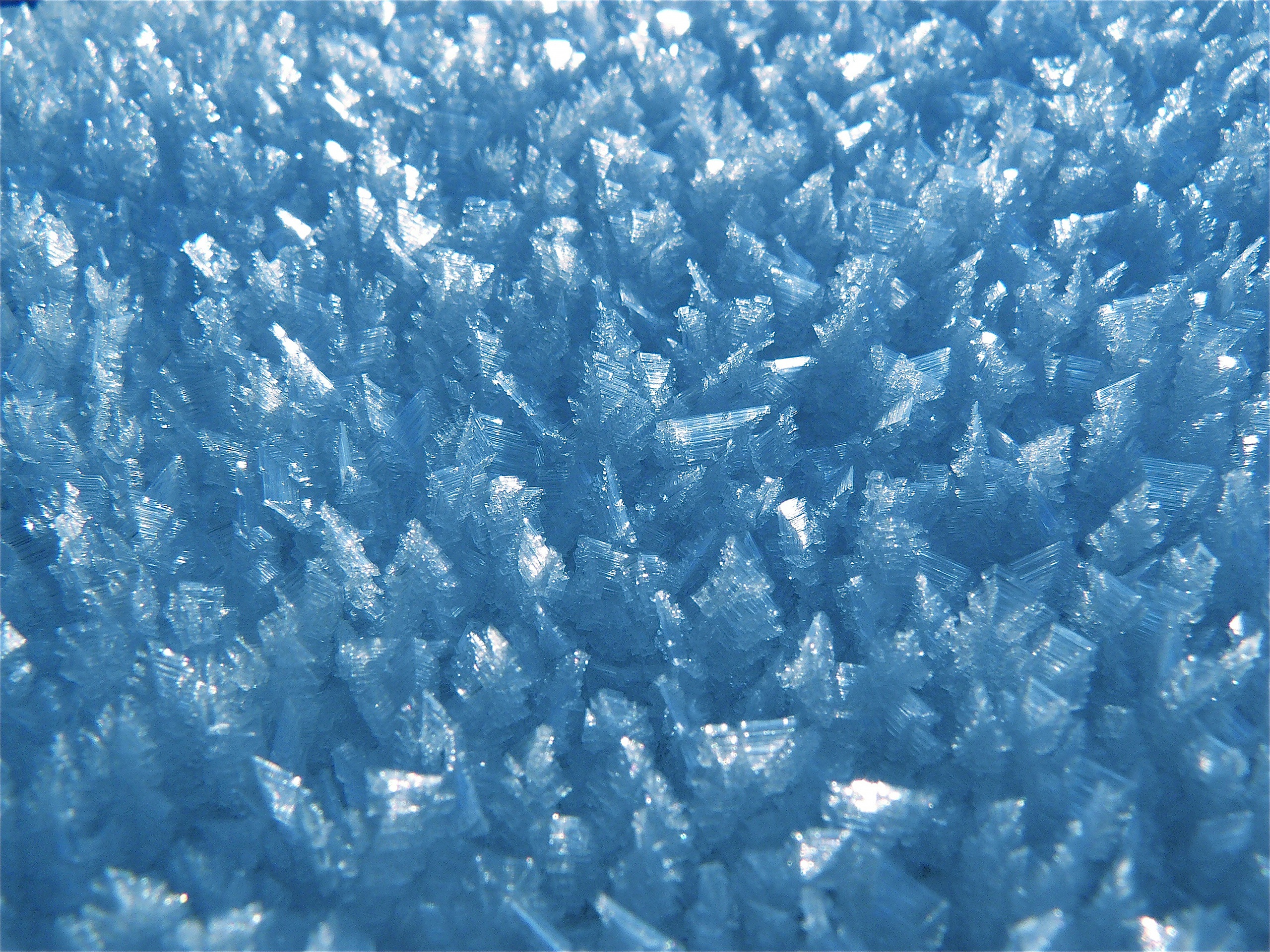 Close-up of ice crystals and frost texture HD Wallpaper