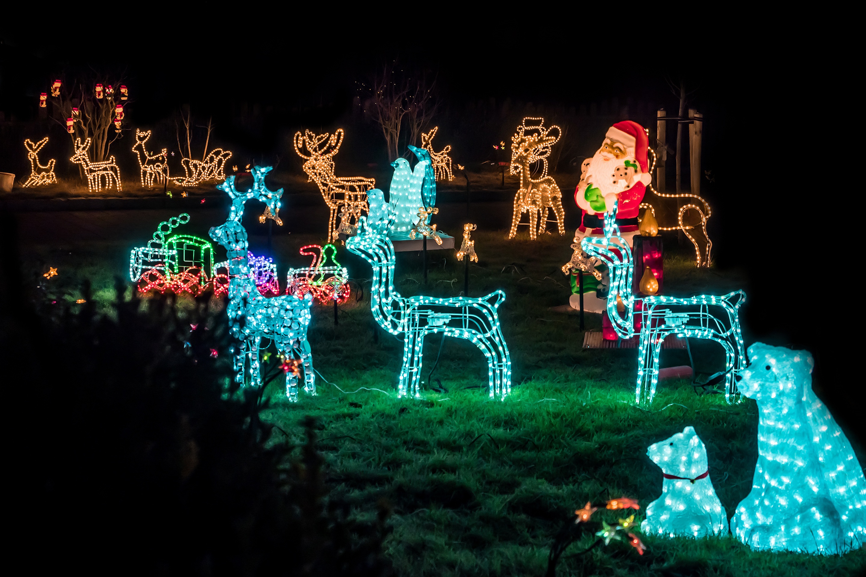 Christmas light display with Santa, deer, and bears HD Wallpaper
