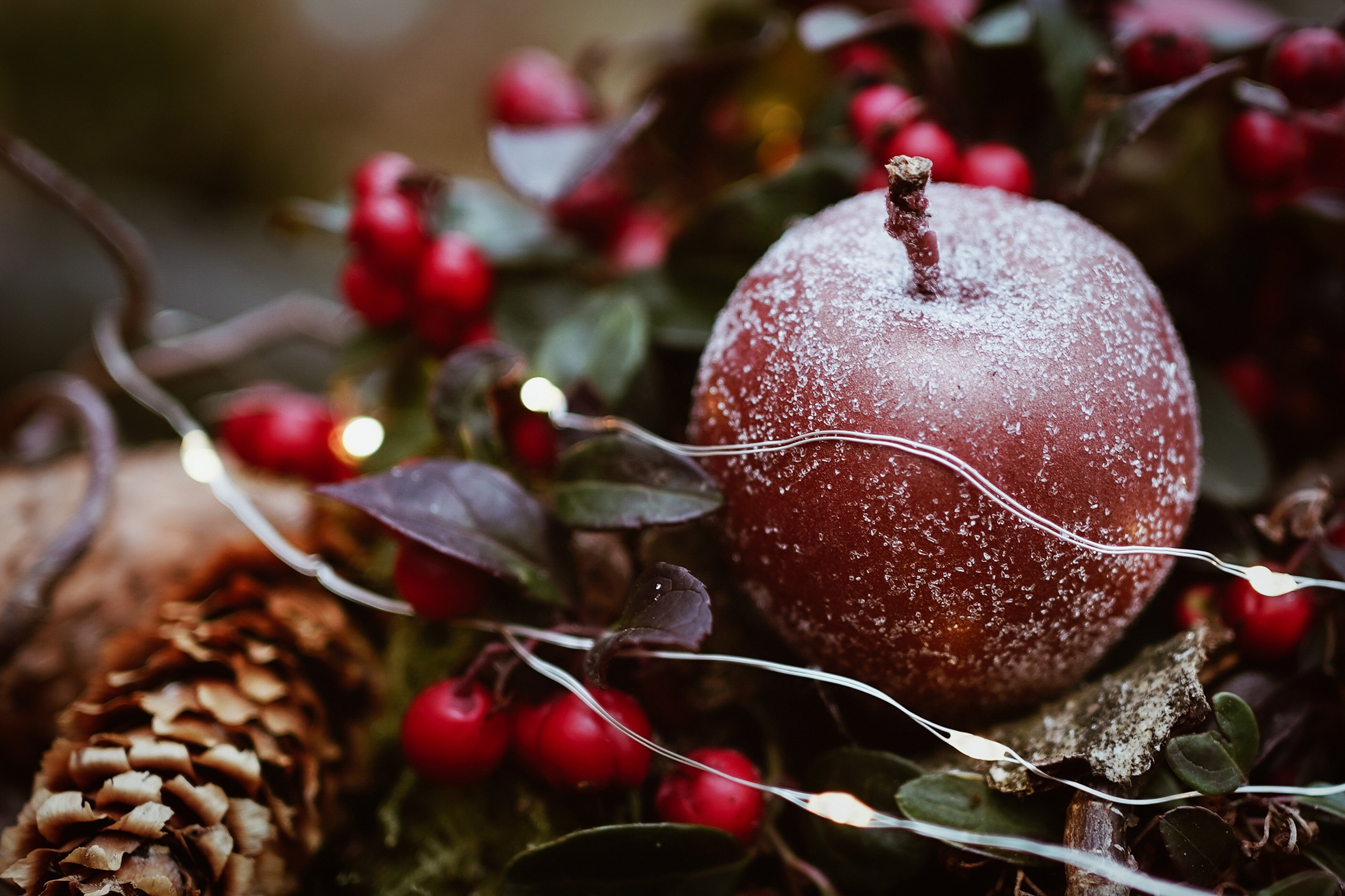 Christmas apple with berries and pinecone HD Wallpaper
