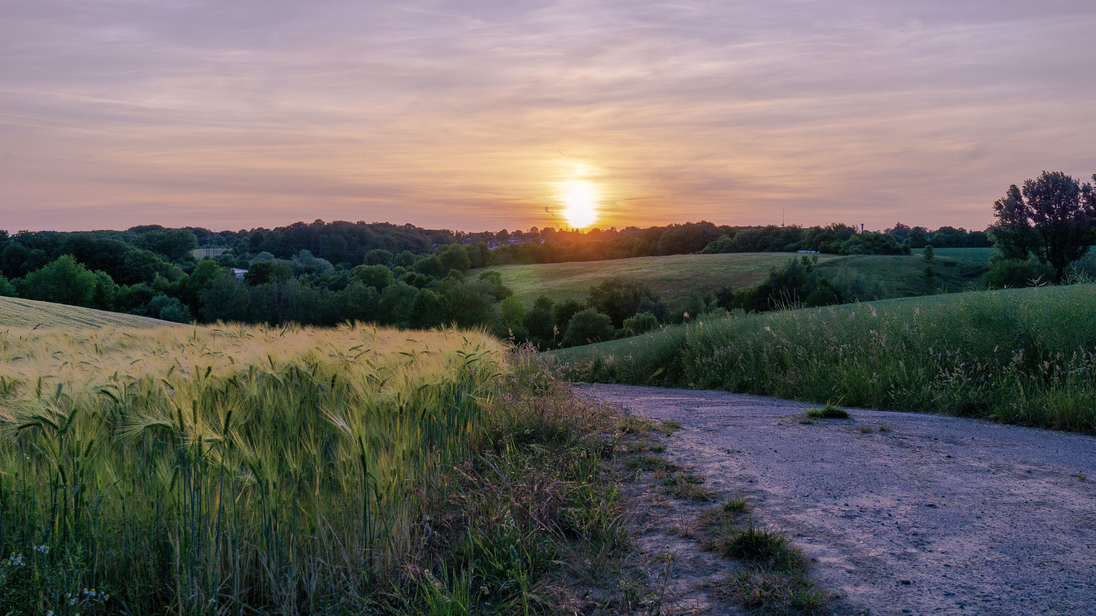 Photography Sunset 4K Wheat Road Field Sky HD Wallpaper