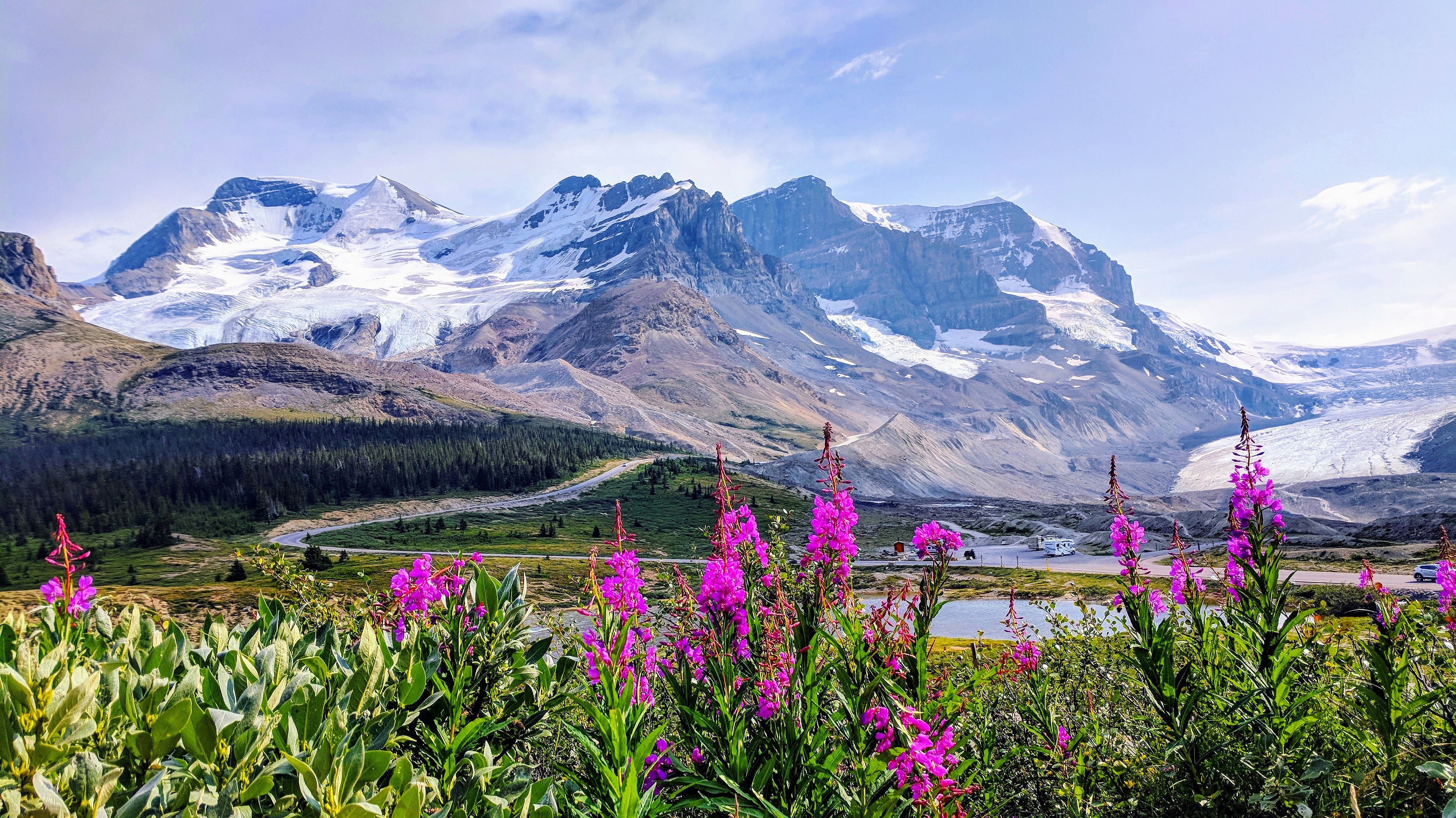 Mountain Landscape with Snow and Flowers HD Wallpaper