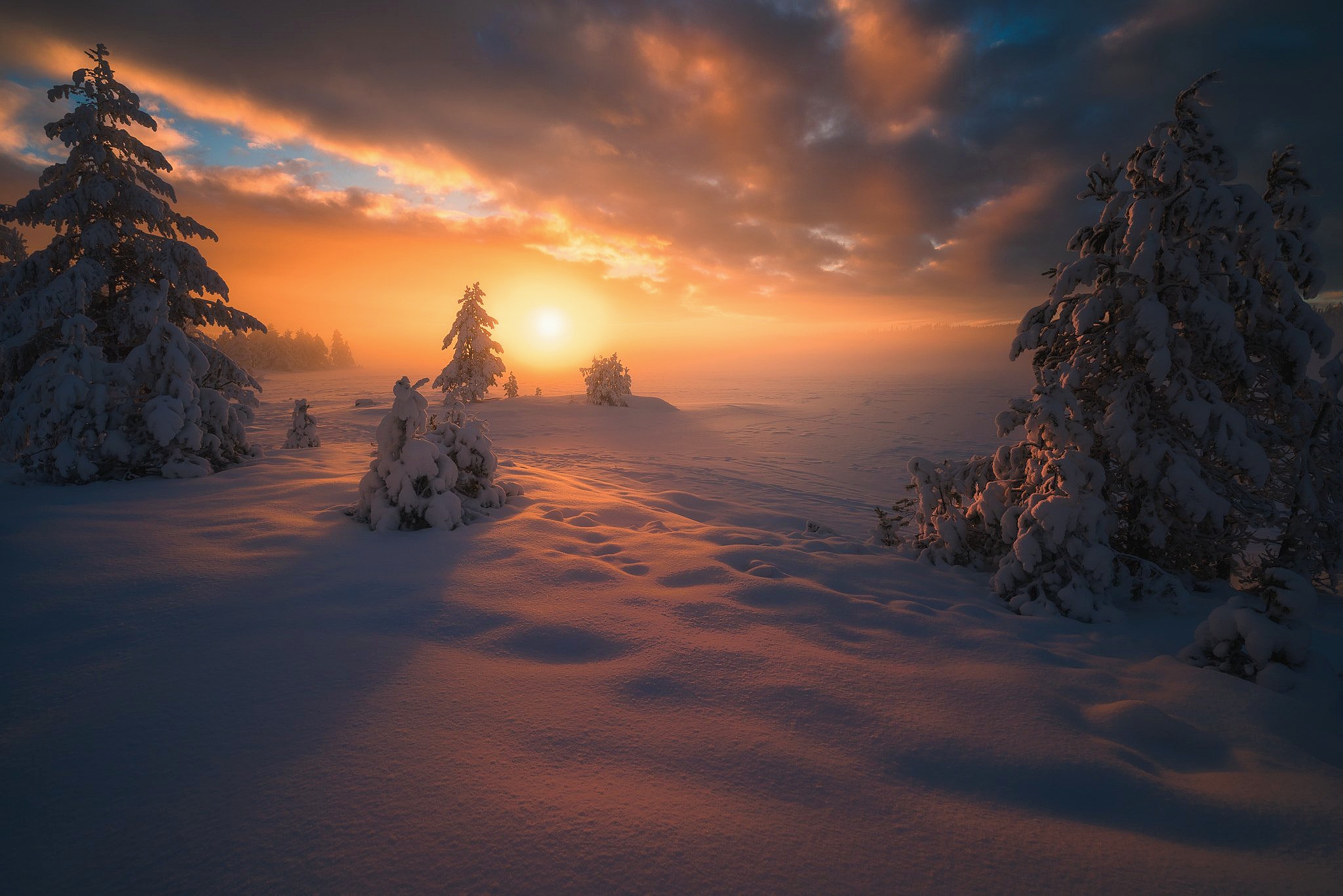 Snowy landscape at sunset with fir trees HD Wallpaper