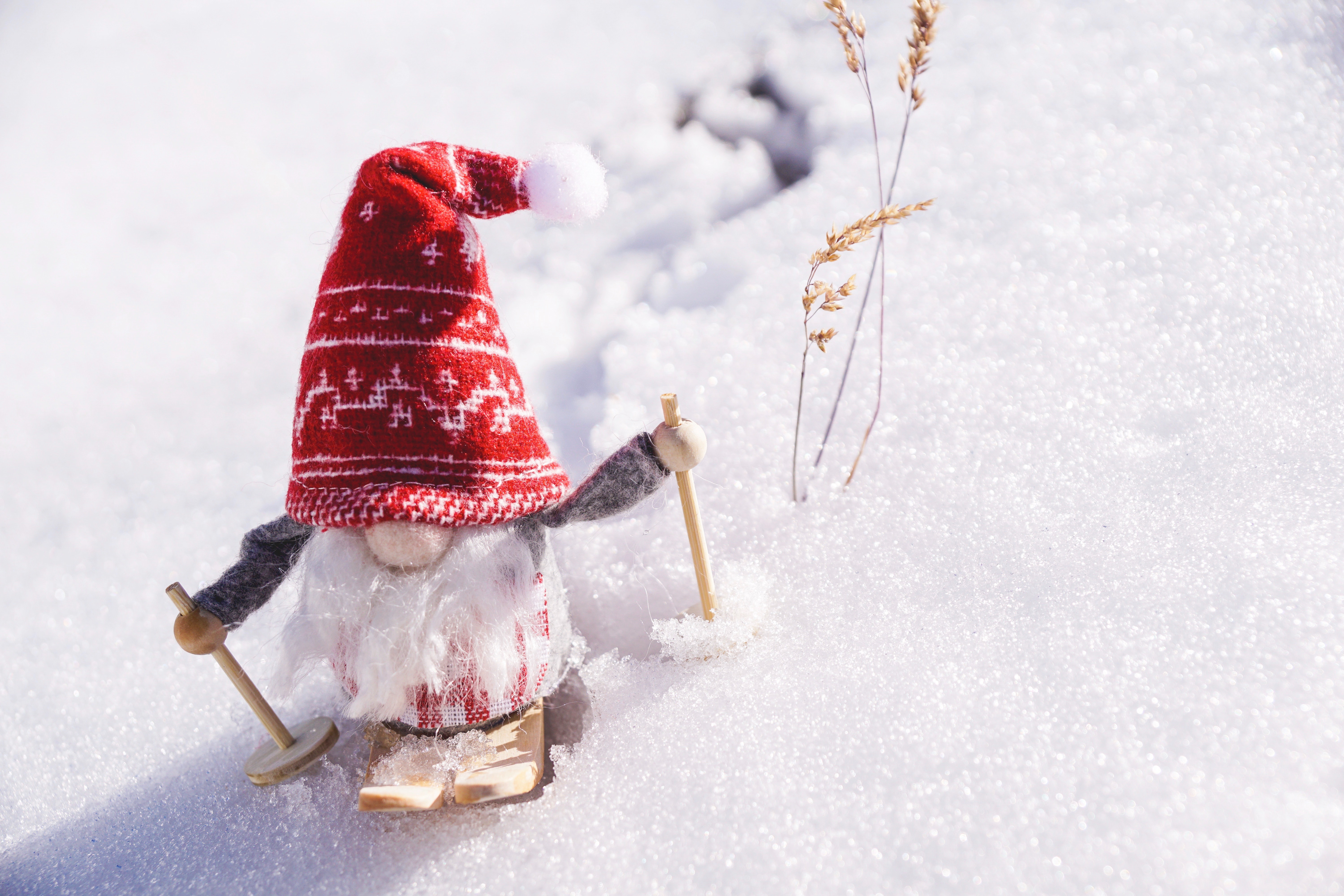Christmas gnome on skis in the snow HD Wallpaper