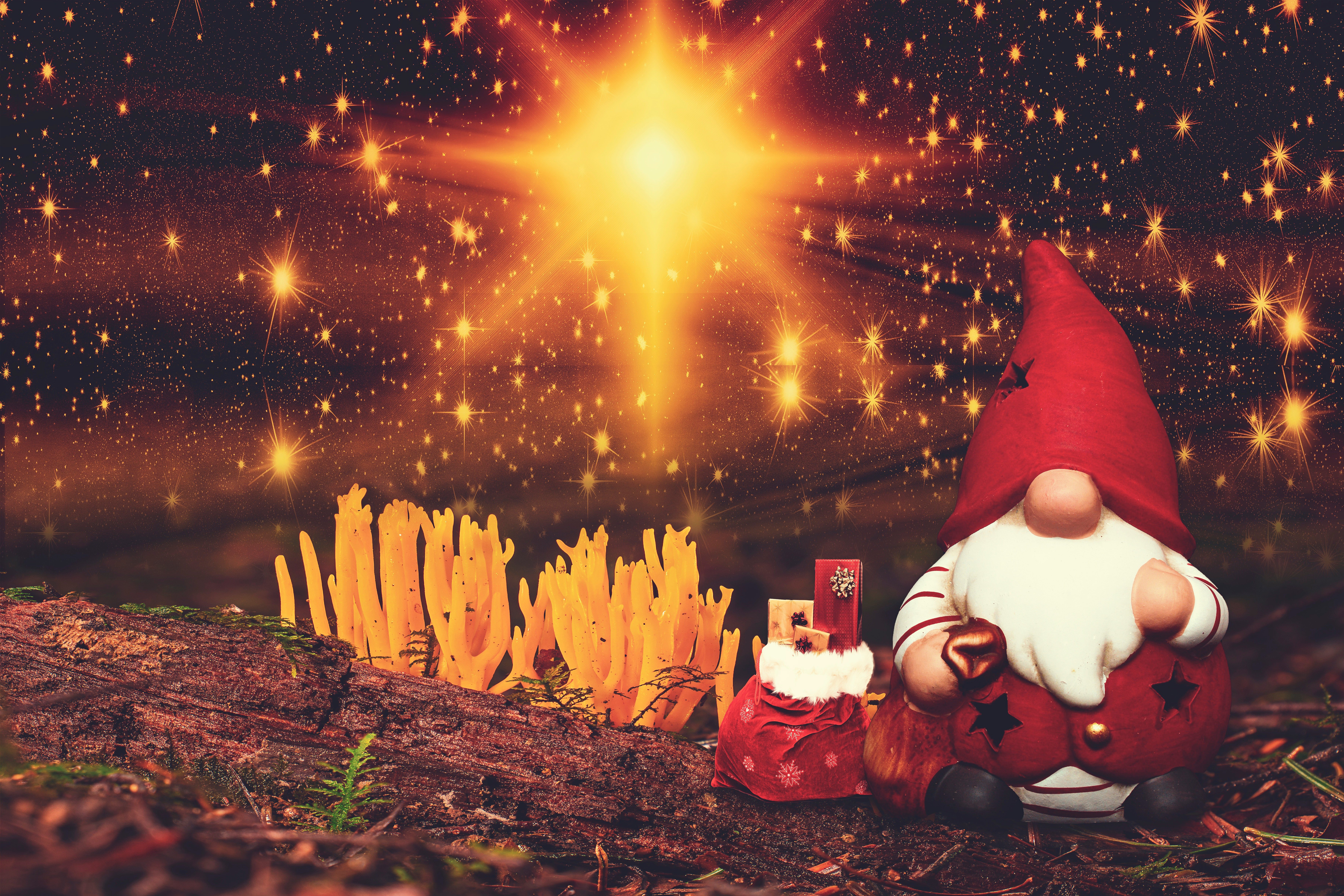 Christmas gnome with gifts under starry sky HD Wallpaper