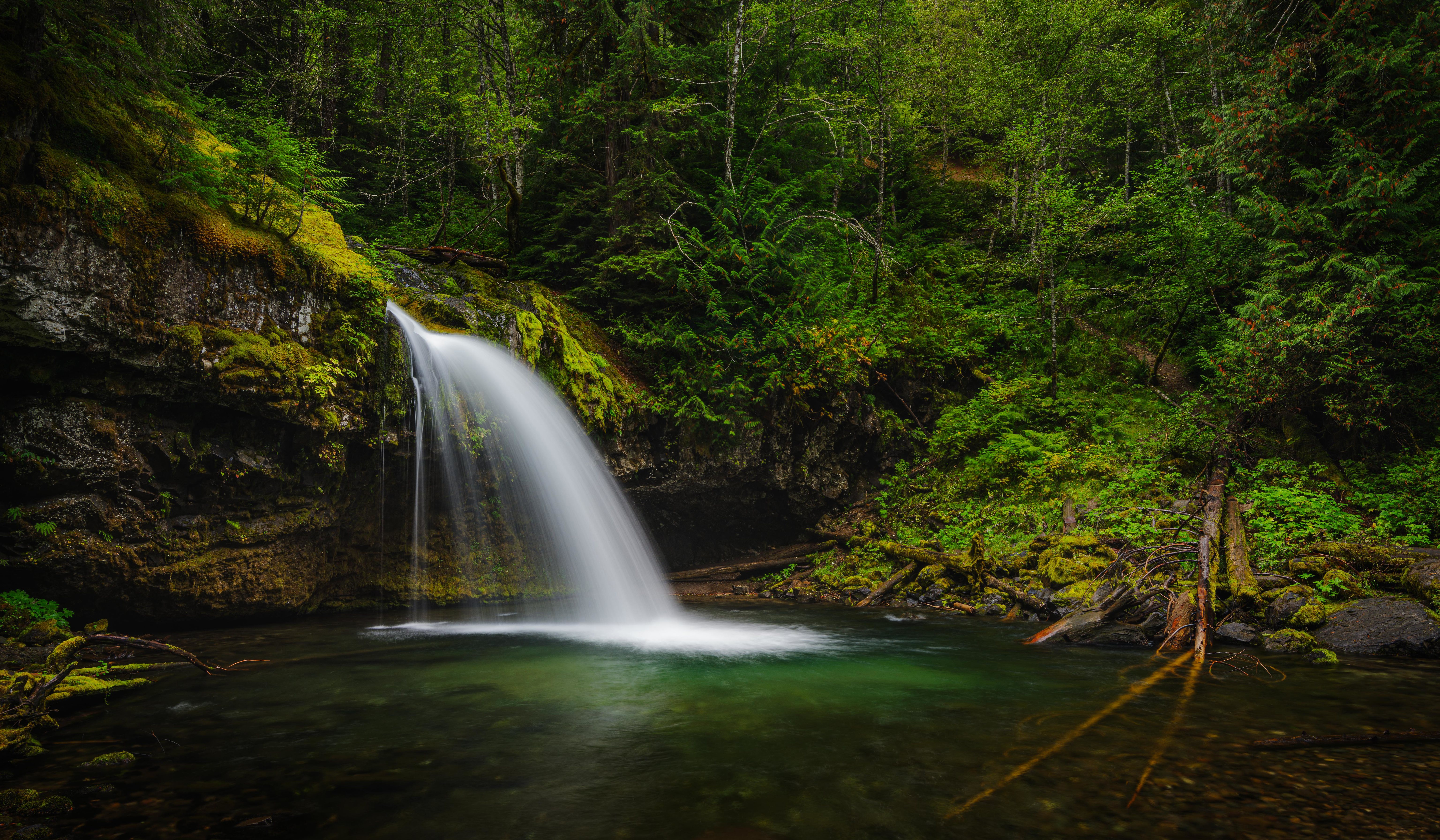 Waterfall in a Green Forest HD Wallpaper