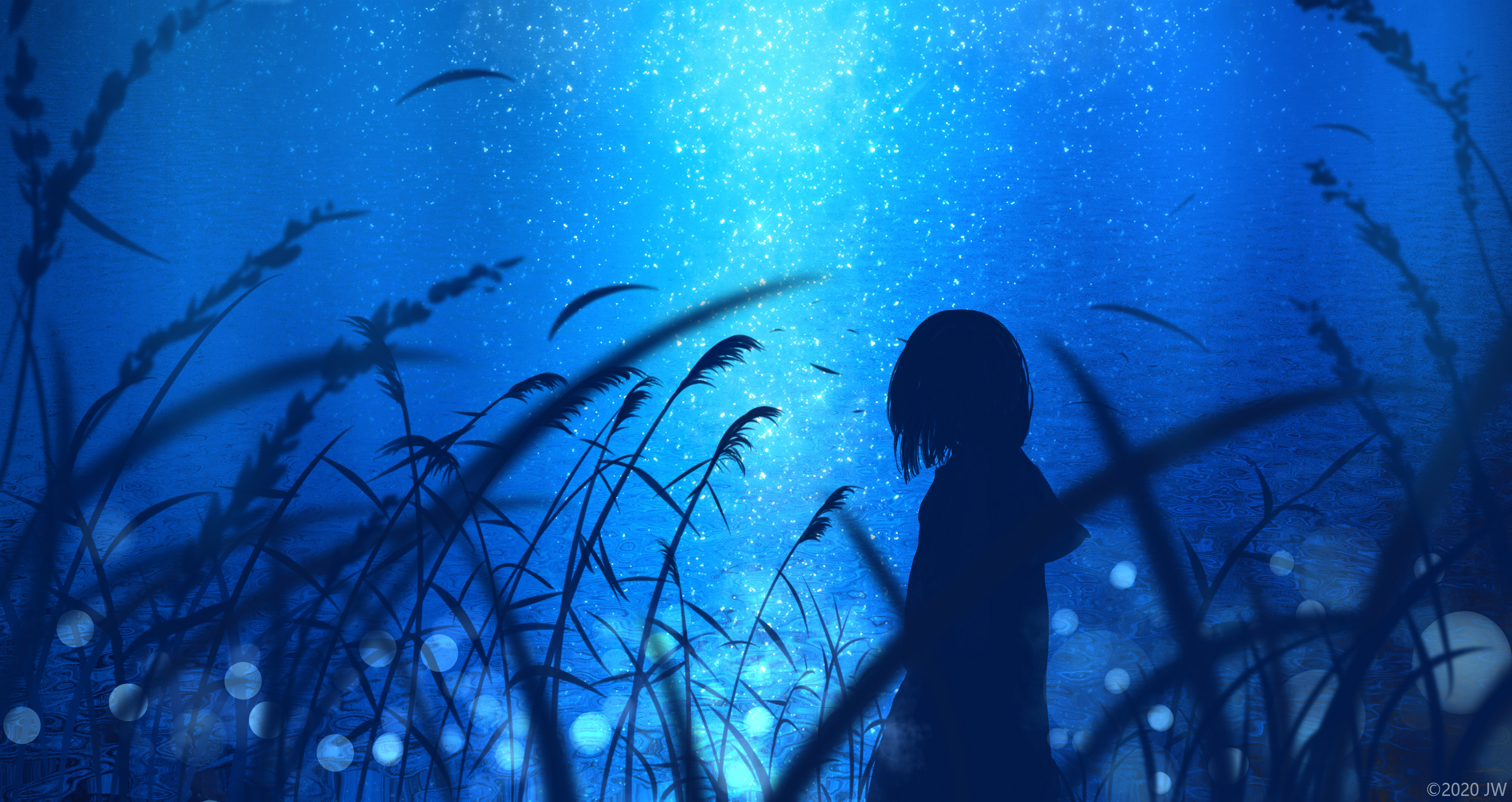 Girl in a field under a starry sky HD Wallpaper