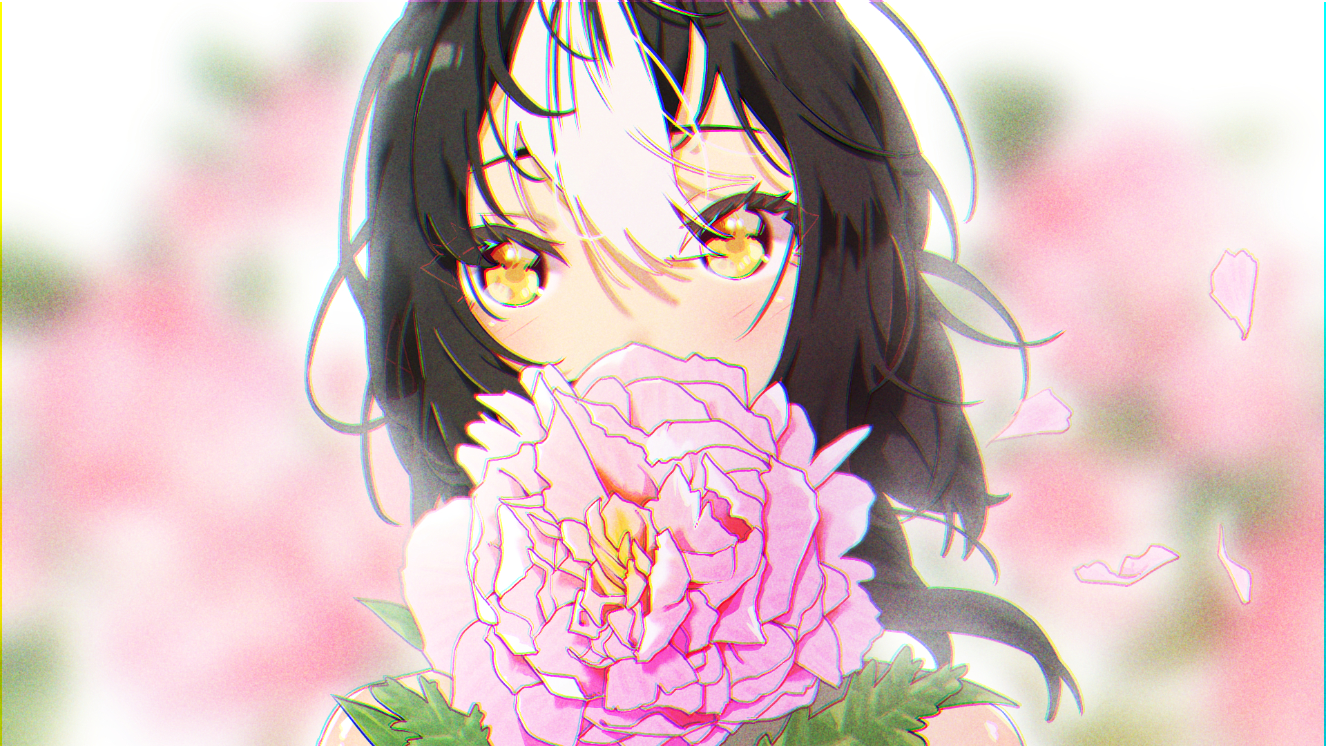 Girl holding a pink flower HD Wallpaper