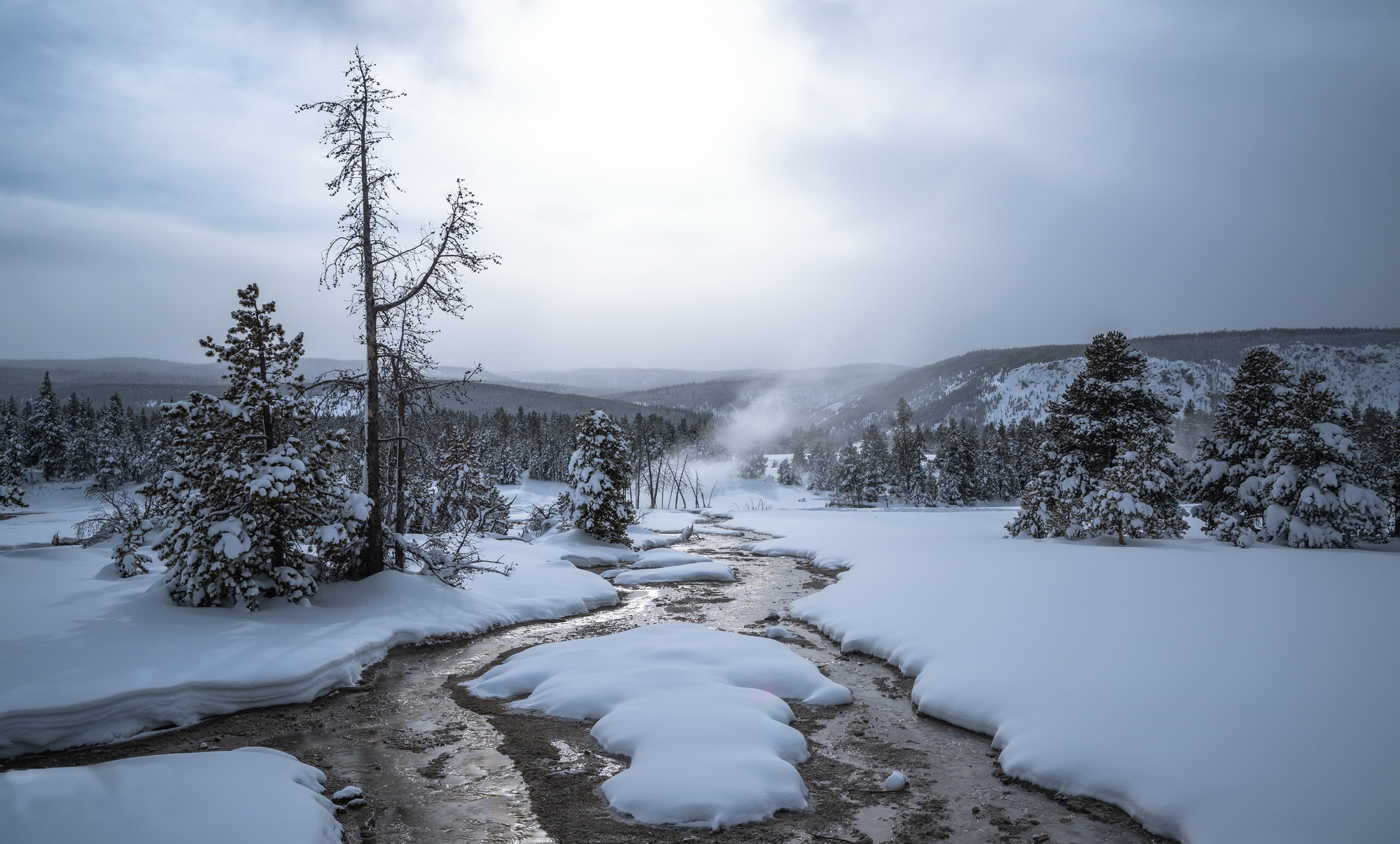 Winter landscape with a steaming river and snow-covered trees HD Wallpaper