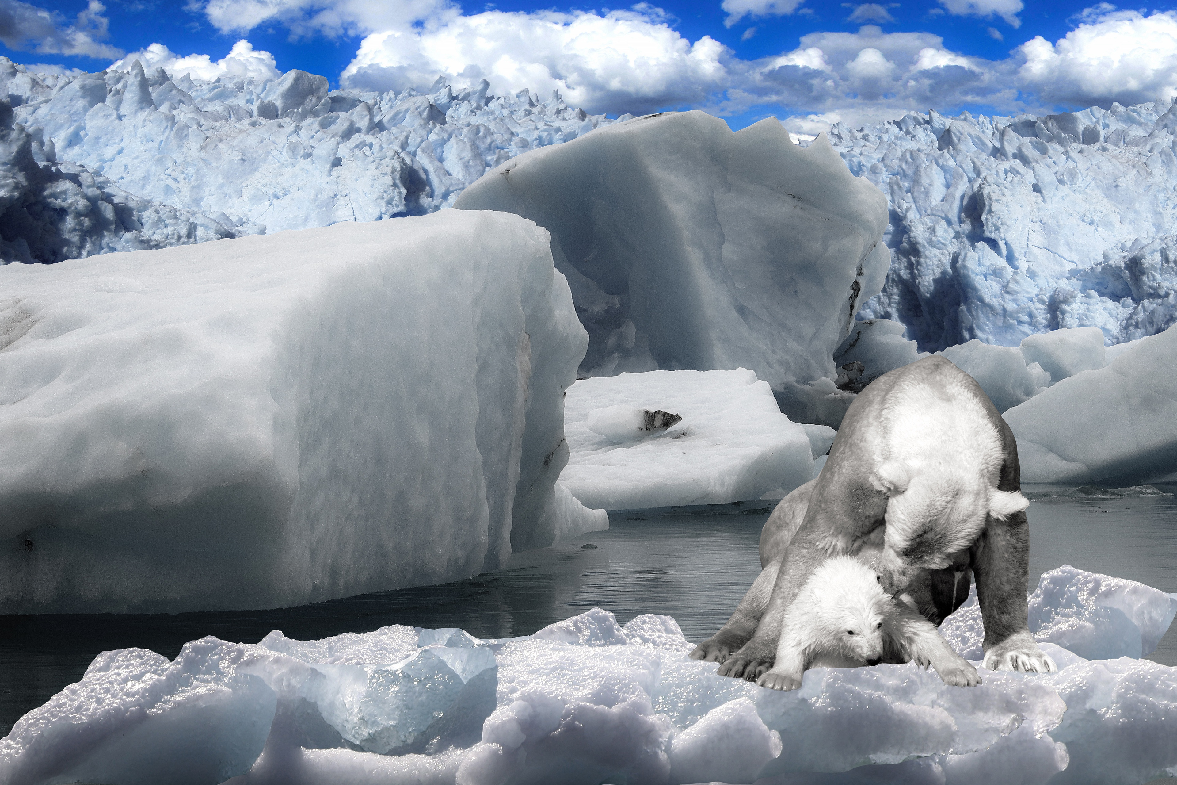 Polar Bear and Cub on Icebergs HD Wallpaper